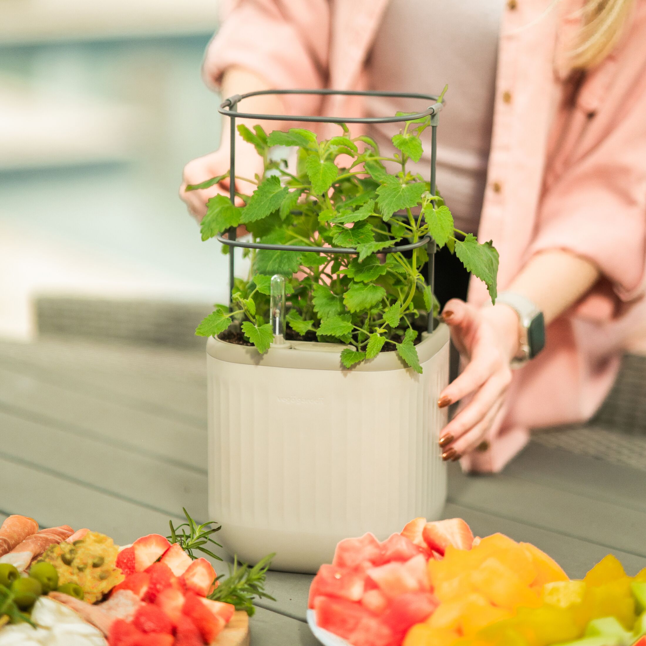Cream White Self-Watering Mini Planter Pots with Trellis, 2 Pack