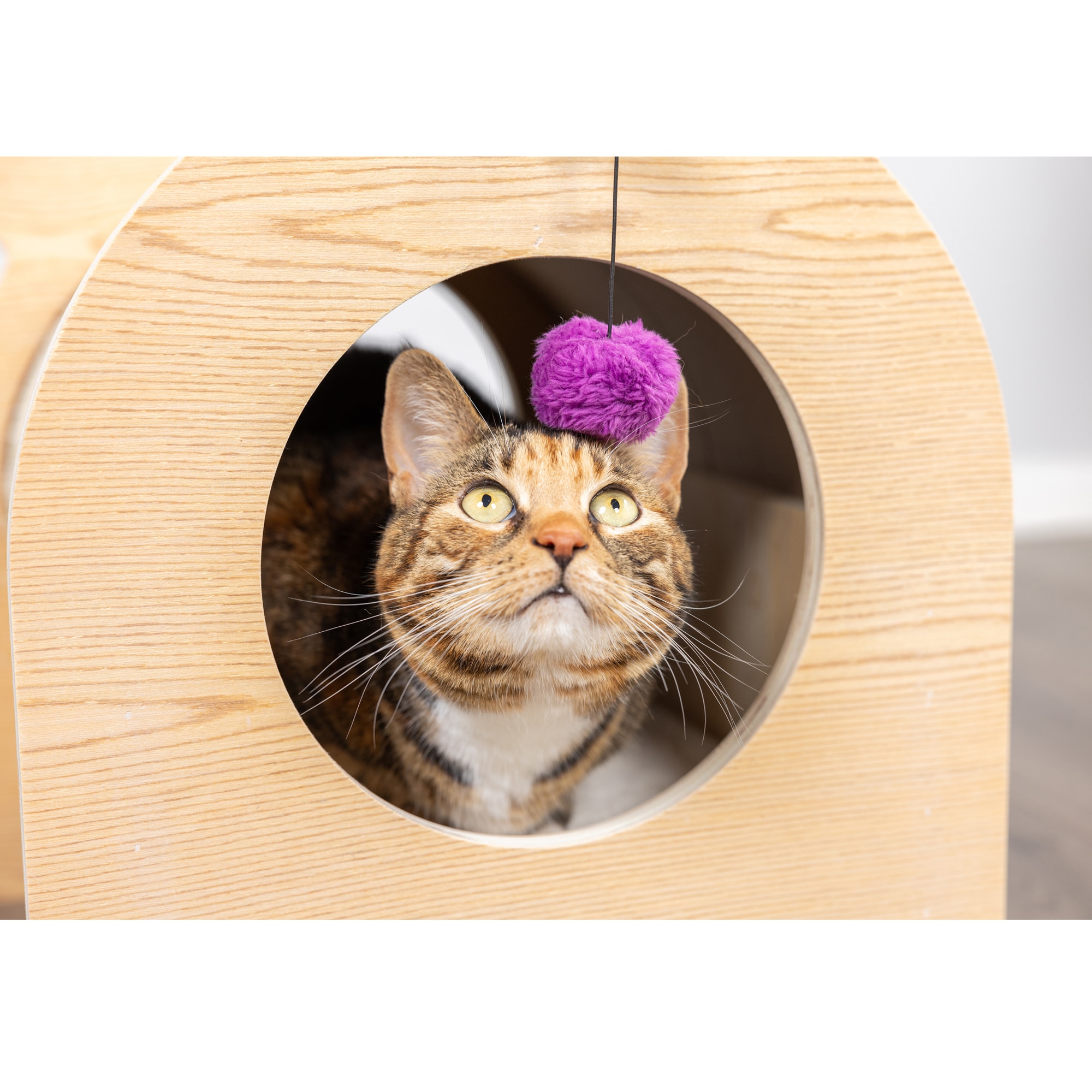 Armarkat S1203 Cat-Trees - View #16