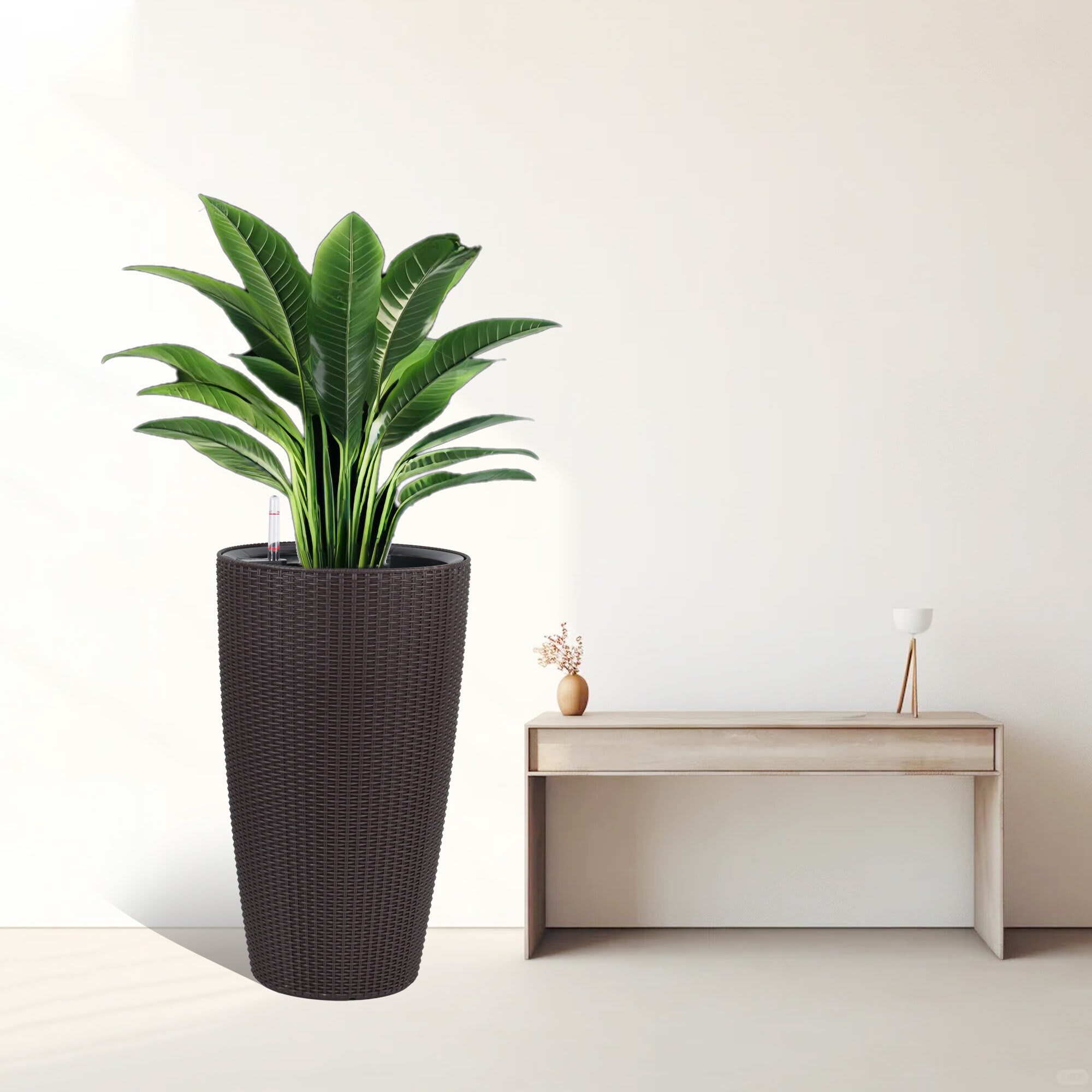 Aoibox LAB0219P07 Planter-Window-Box - View #9