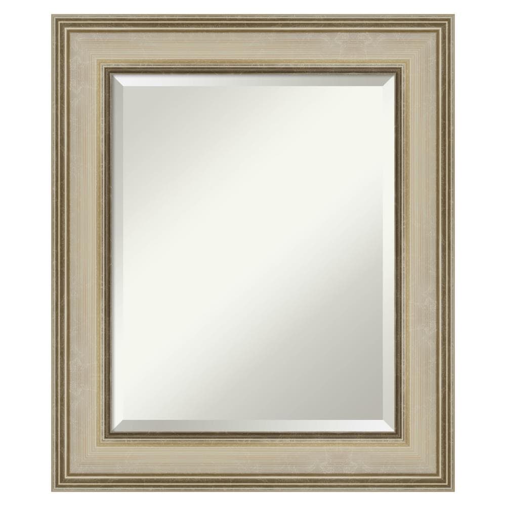 Amanti Art DSW4960731 Colonial 21.75-in x 25.75-in Framed Rectangle Bathroom Vanity Mirror ( Satin Champagne,Gold,Silver )