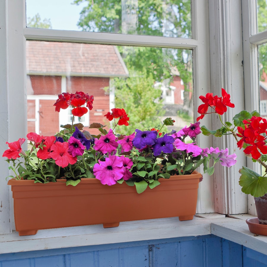 Garden Treasures SW2412CY Planter-Window-Box - View #5