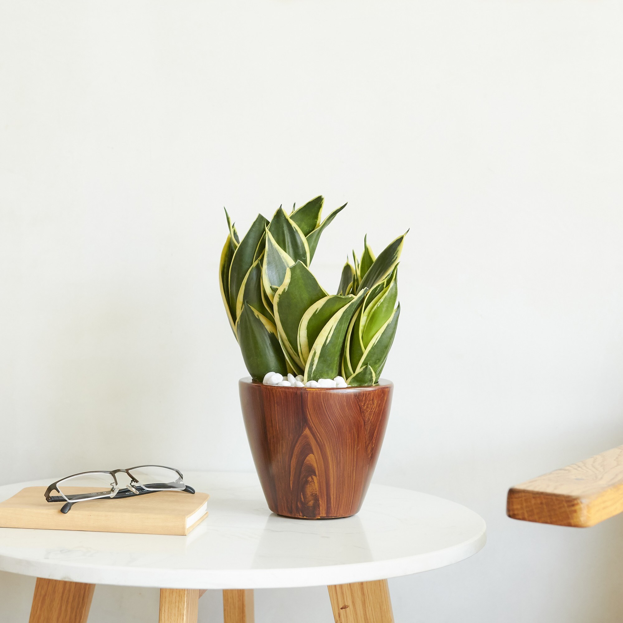 Yiekholo LL-1631AA Planter-Window-Box - View #3