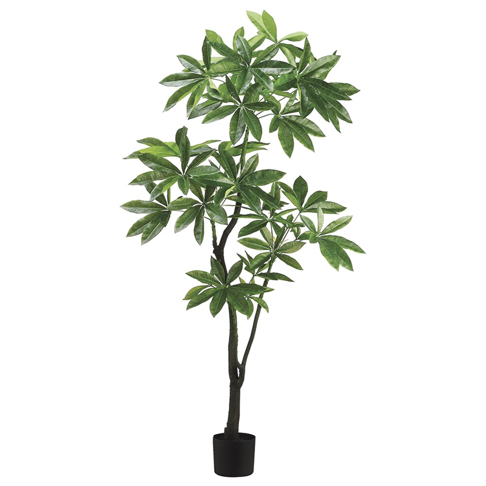 Allstate Floral LTP206-GR 72-in Green Indoor Floor Fiddle Leaf Artificial tree