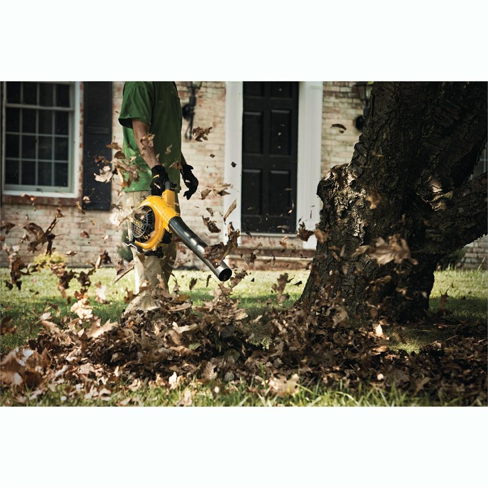 DEWALT DCBL790H1  - View #4