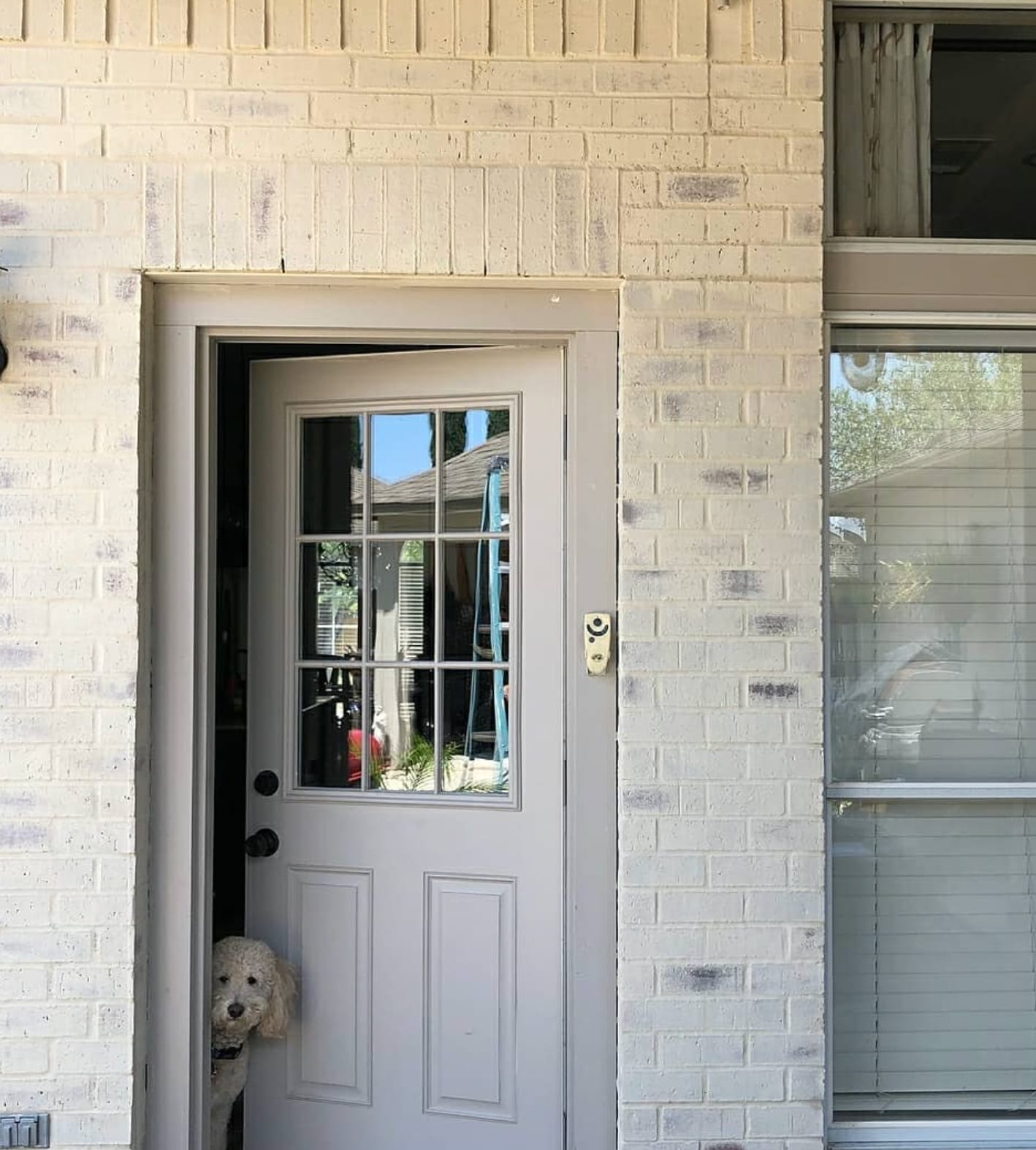 ROMABIO Masonry Stucco and Brick Flat Classico Limewash Tropea Beige ...