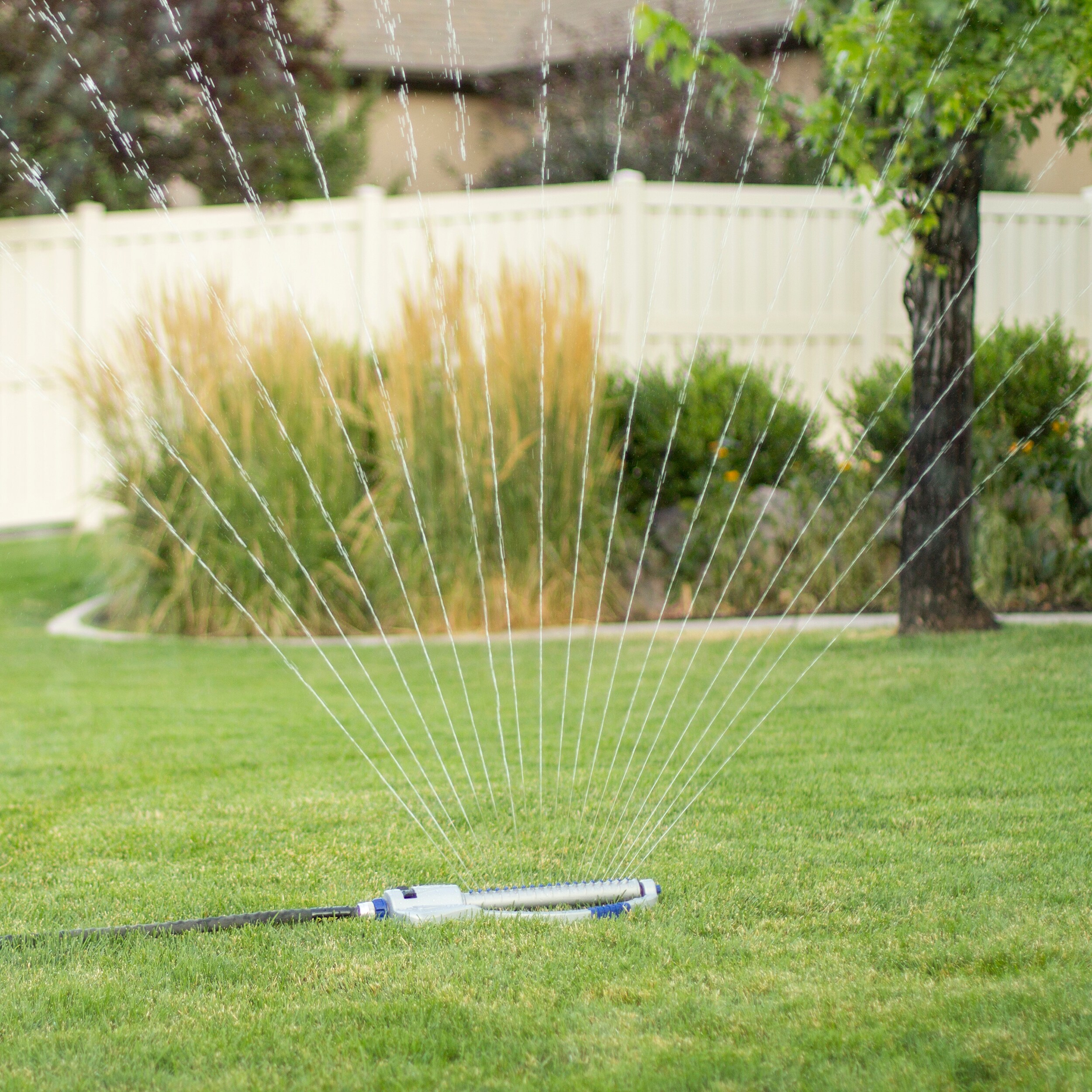 Orbit Orbit Max 4000-sq ft Oscillating Sled Lawn Sprinkler in the Lawn ...