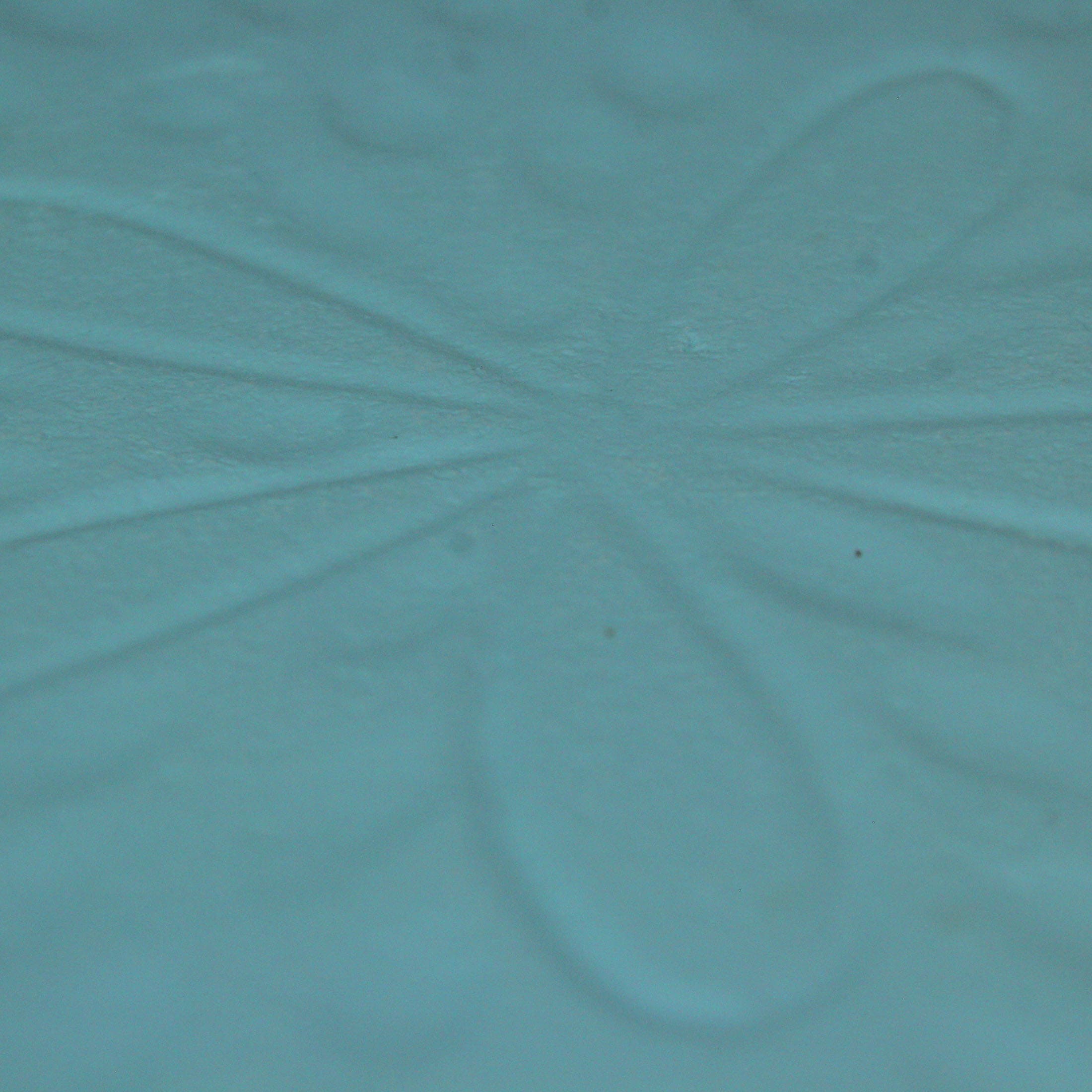 Things2Die4 FT-BEA94777-BLW Wall-Accents - View #7