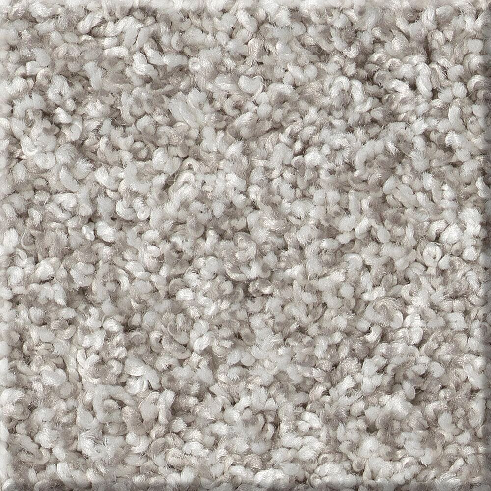STAINMASTER 7L897 - 107 - SAMP (Sample) Impassioned II Frozen Off-white 68.3-oz sq yard Polyester Textured Indoor Carpet