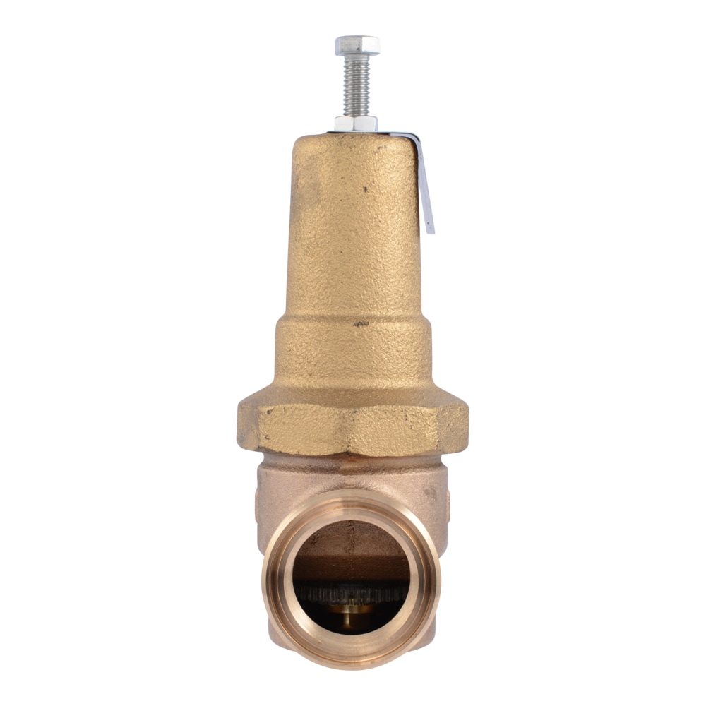 Cash Acme PVA35M-DTH-60 Pressure-Relief-Valves-Regulators - View #2