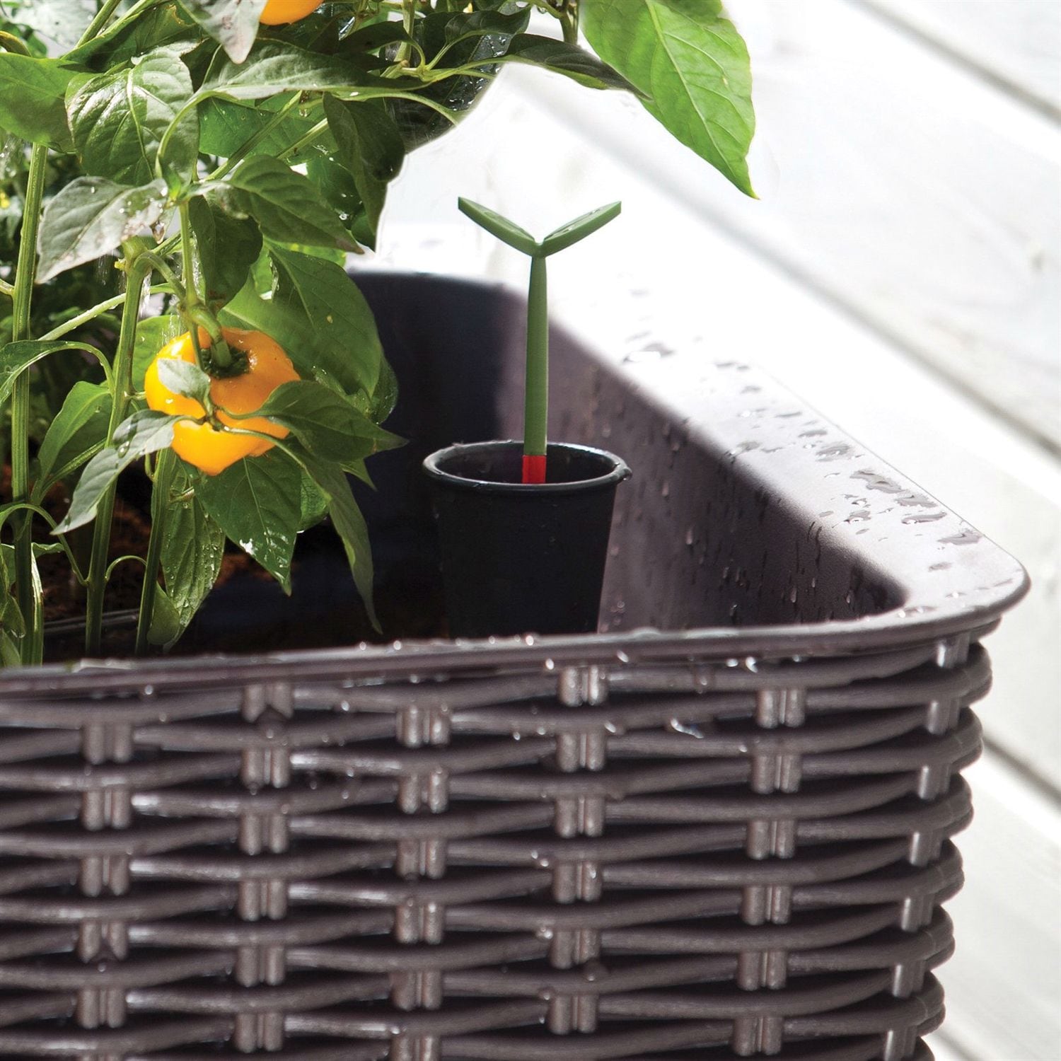 Slickblue D-FR-14789PBGEK Raised-Planter-Boxes - View #3