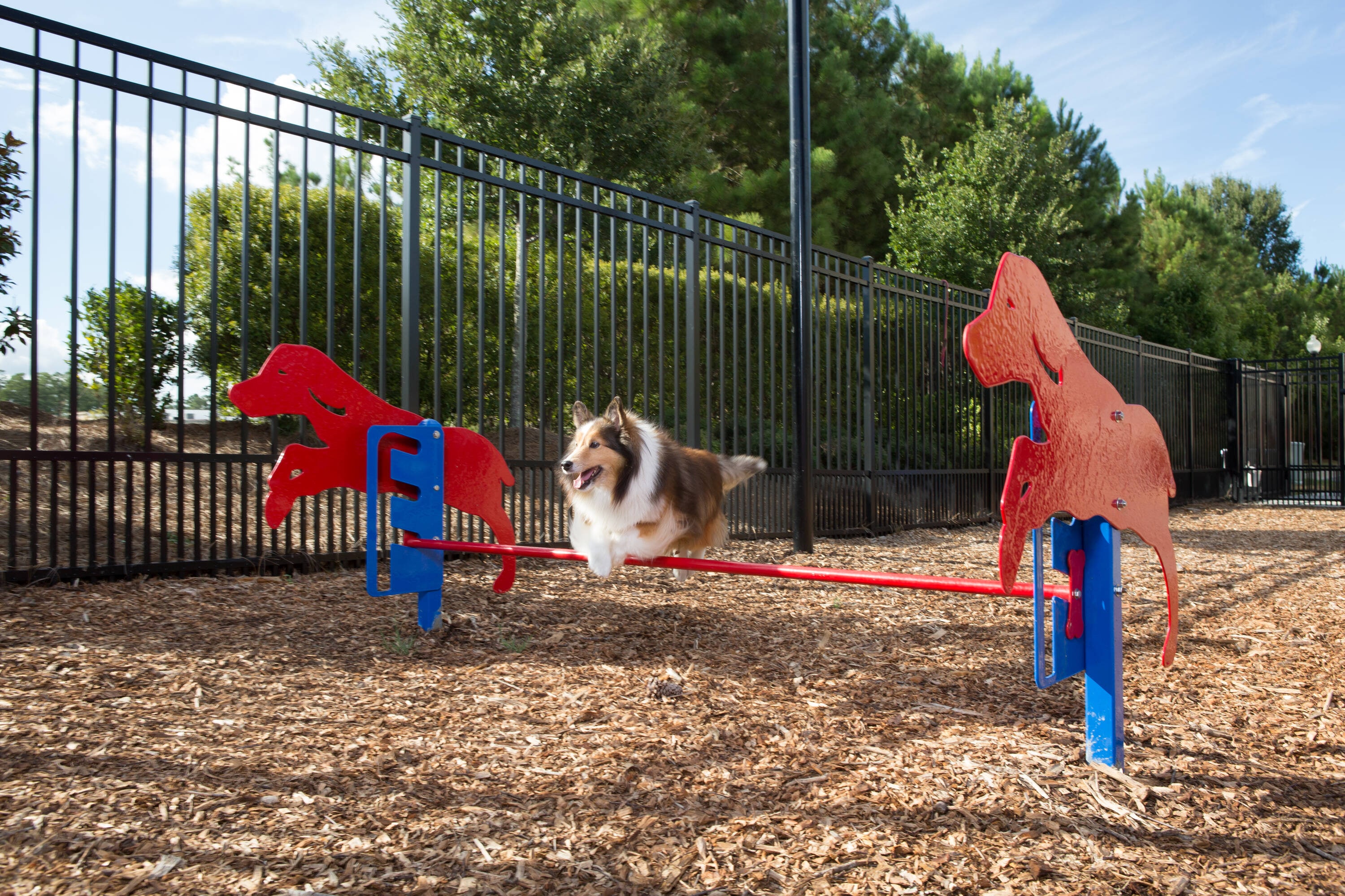 UltraPlay BARK-ITKIT-P Dog-Park-Agility-Course-Kits - View #3