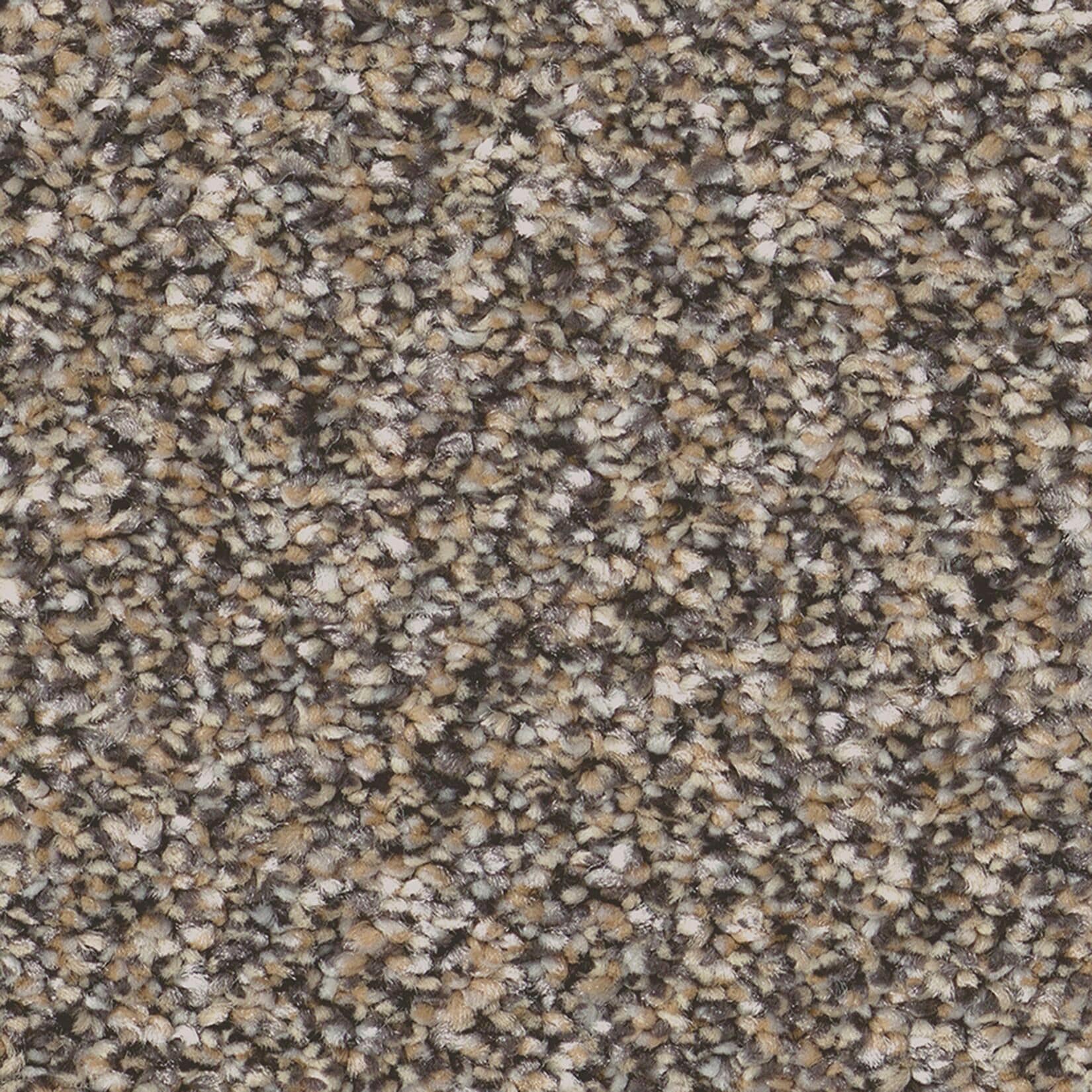 STAINMASTER 7L95500702 Animated I Prairie Brown 48.8-oz sq yard Solution-dyed polyester Textured Indoor Carpet