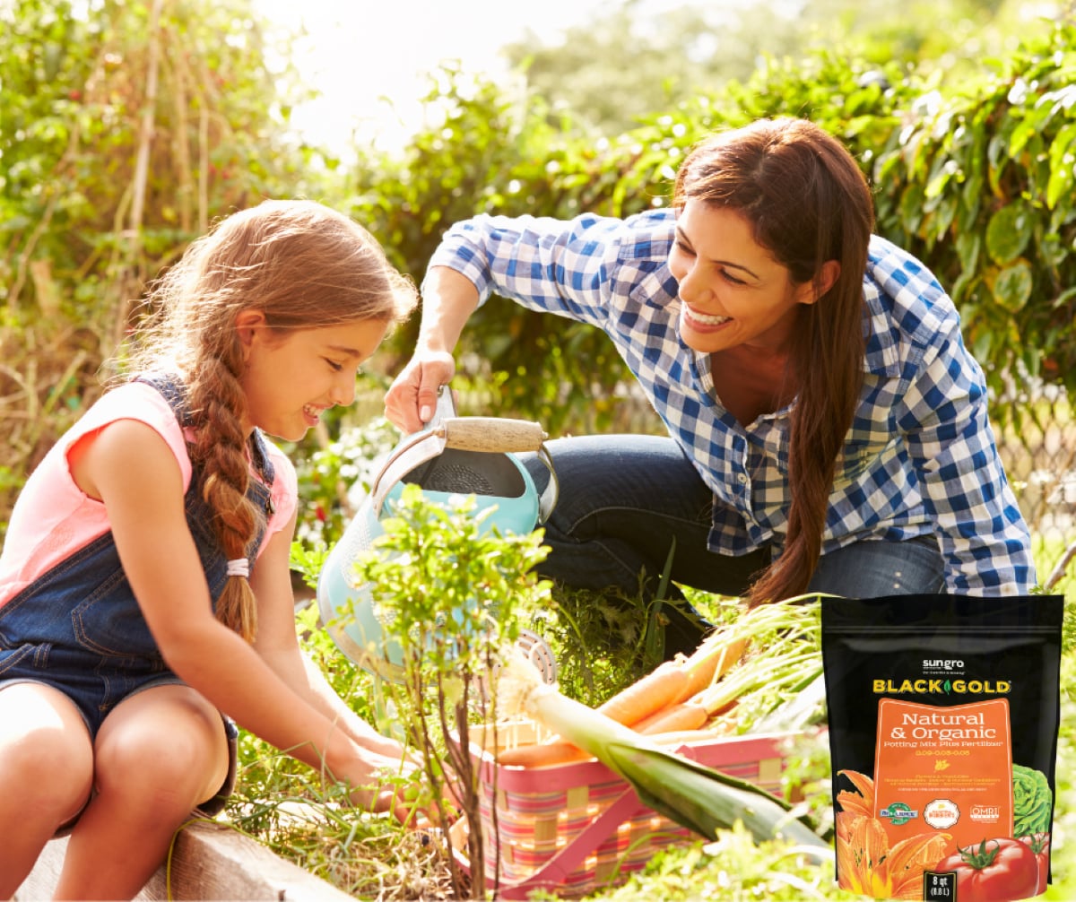 Sun Gro 1402040.Q08P Garden-Soil-Soil-Amendments - View #3