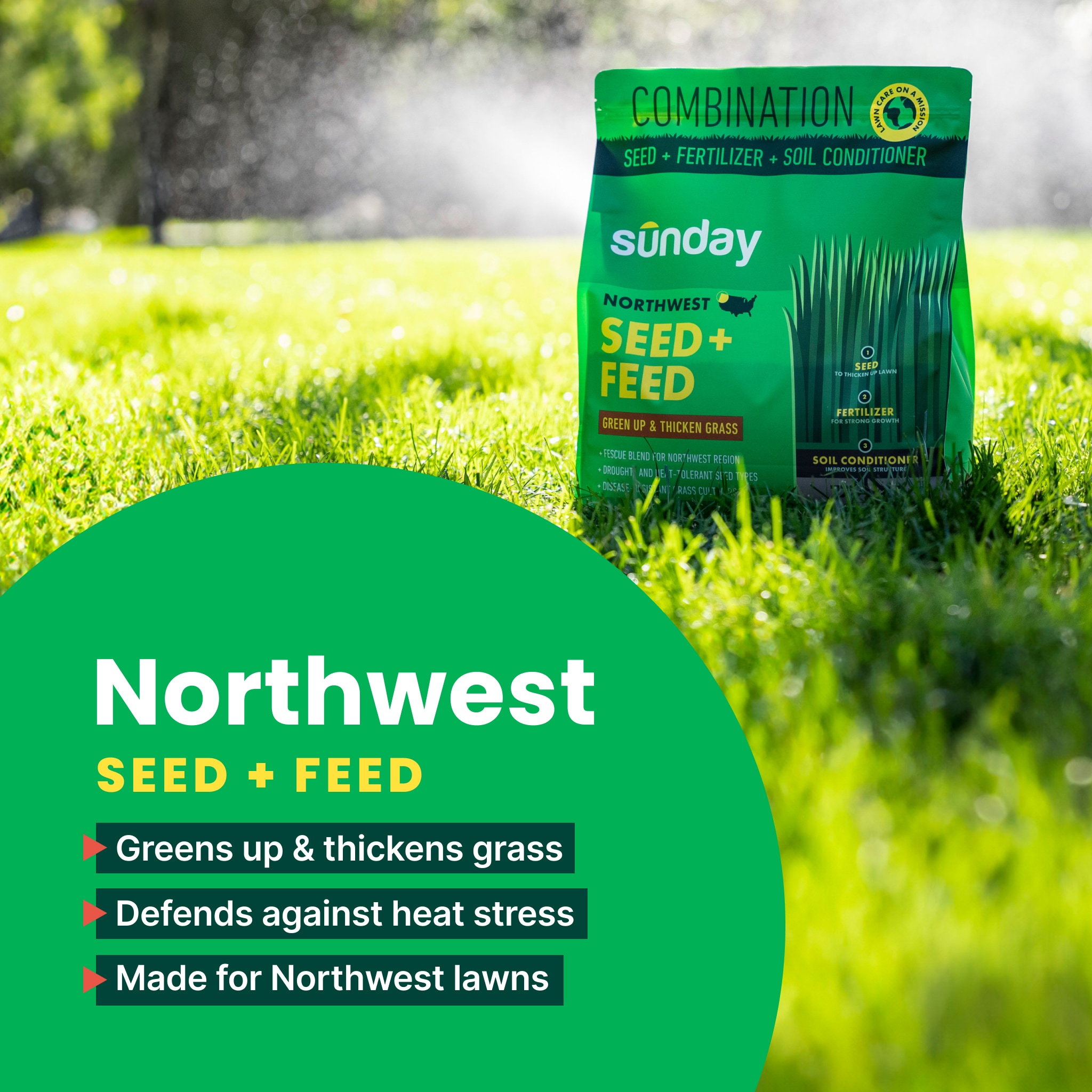 Sunday FF2029 Grass-Seed - View #2