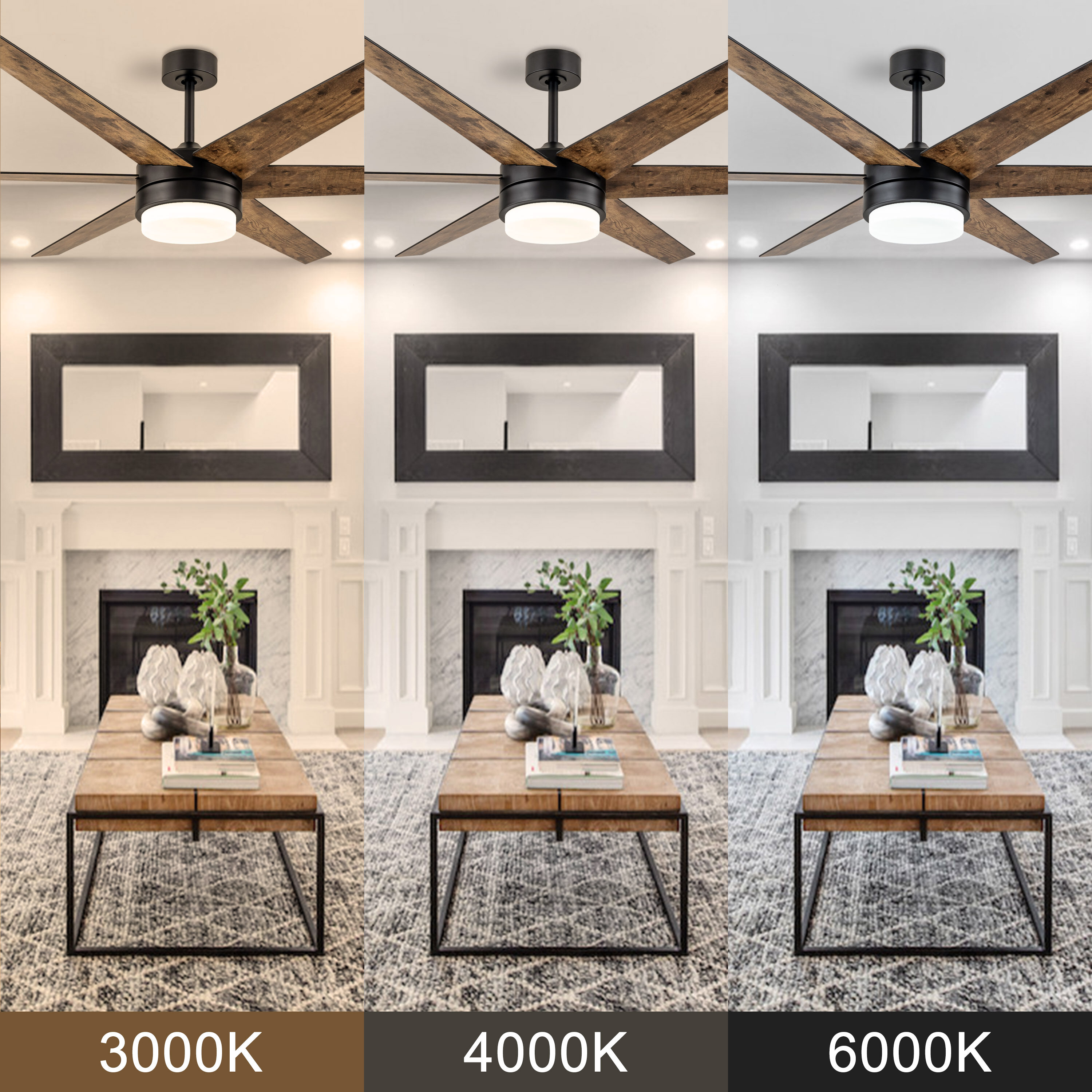 C Cattleya LCA2371-CF Ceiling-Fans - View #6