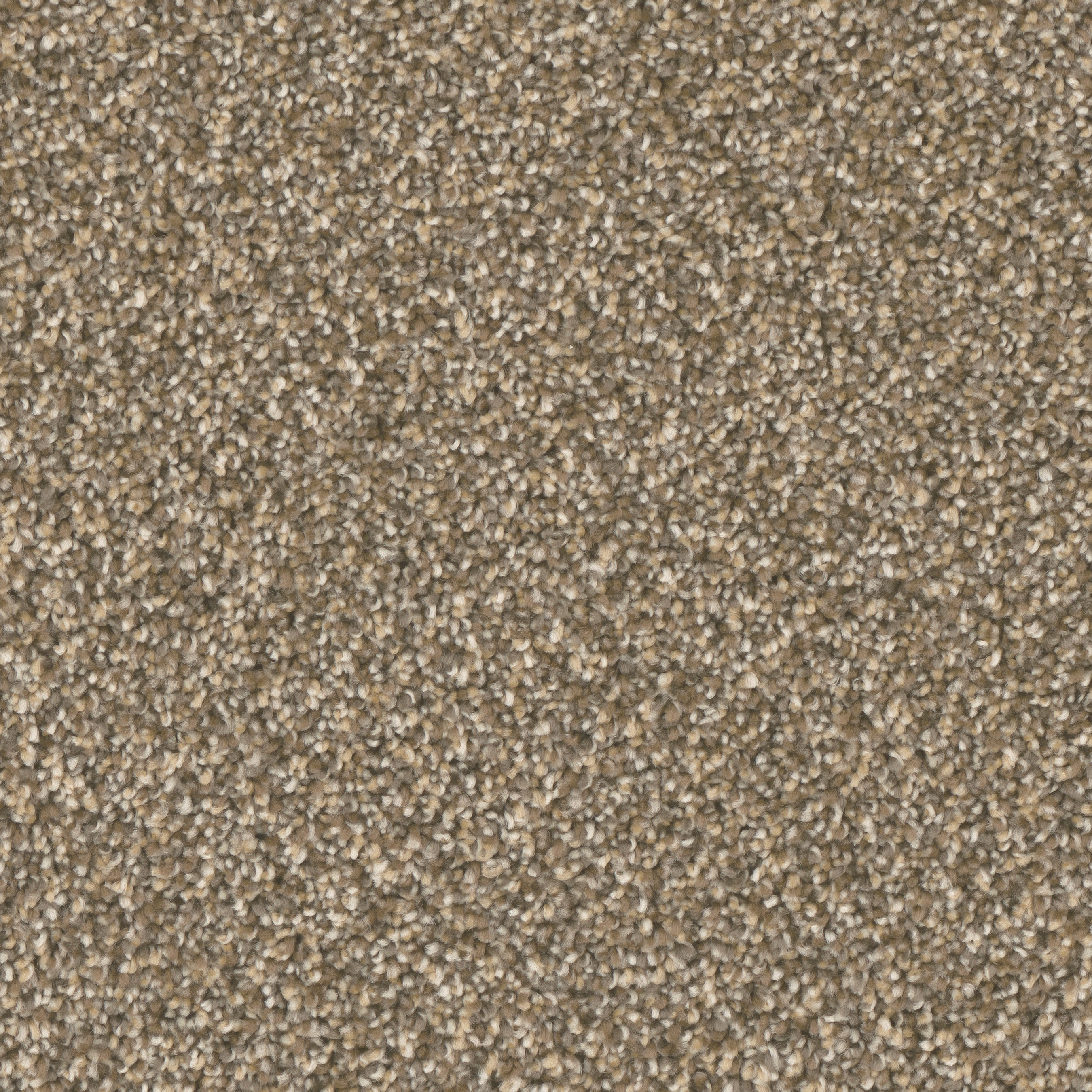 STAINMASTER S9150-874-S (Sample) Fuse Feature Multi-Colored 50-oz sq yard Polyester Textured Indoor Carpet