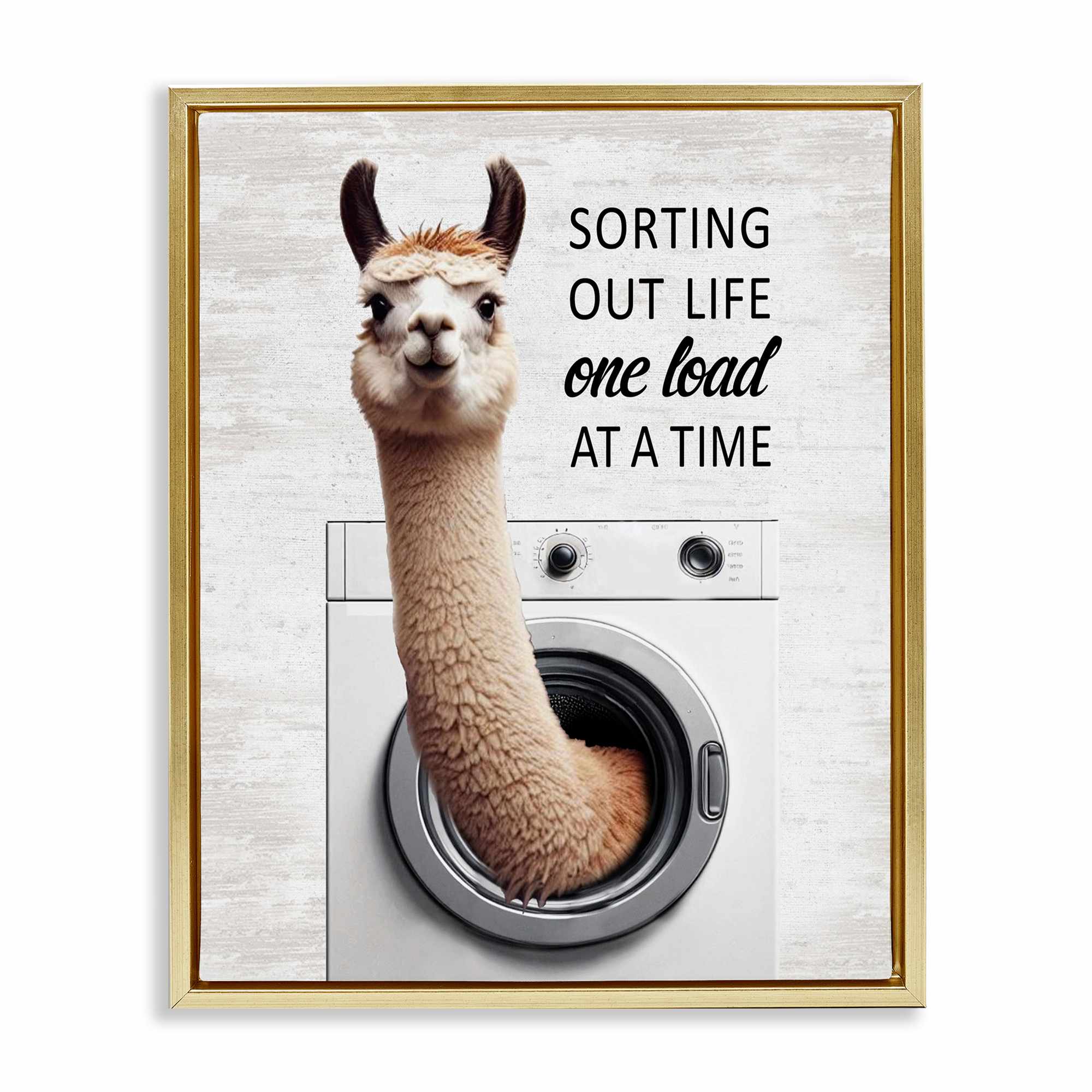 Stupell Industries BS-854-FFG-24X30 One Load At A Time Llama Floating Frame design by Lettered and Lined