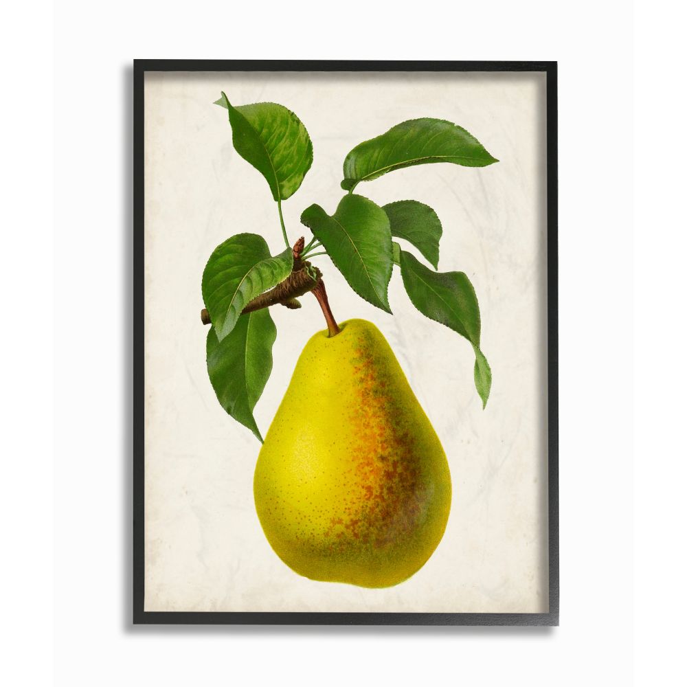 Funny Fruit Illustration Drawing Pear Shaped // Framed Art Poster