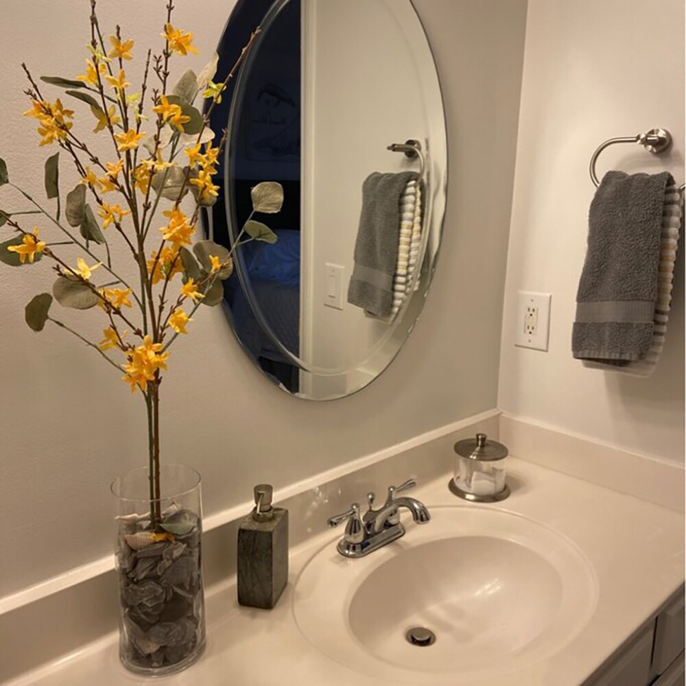 Decor Wonderland Aldo 23.6-in x 31.5-in Silver Oval Frameless Bathroom  Vanity Mirror in the Bathroom Mirrors department at