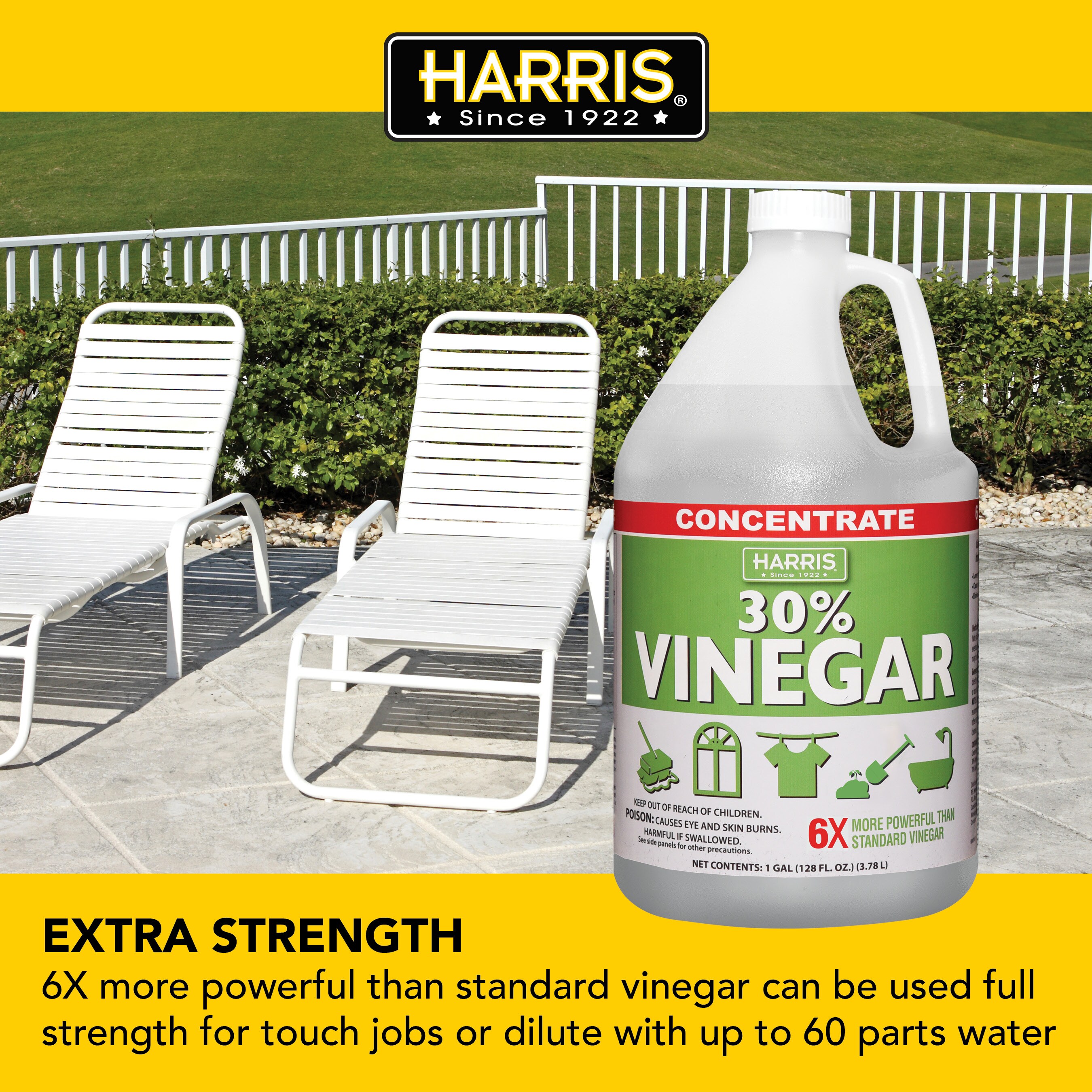 Wendy's All Purpose 30% Vinegar Extra Strength - Concentrated Industrial  Vinegar for Home and Garden Deep Cleaning (1 Gallon)