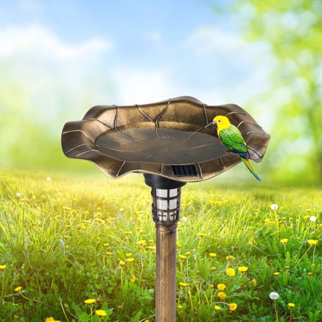 AHIOU HOME ZAAHD-HLHH7GBD birdbaths - View #6