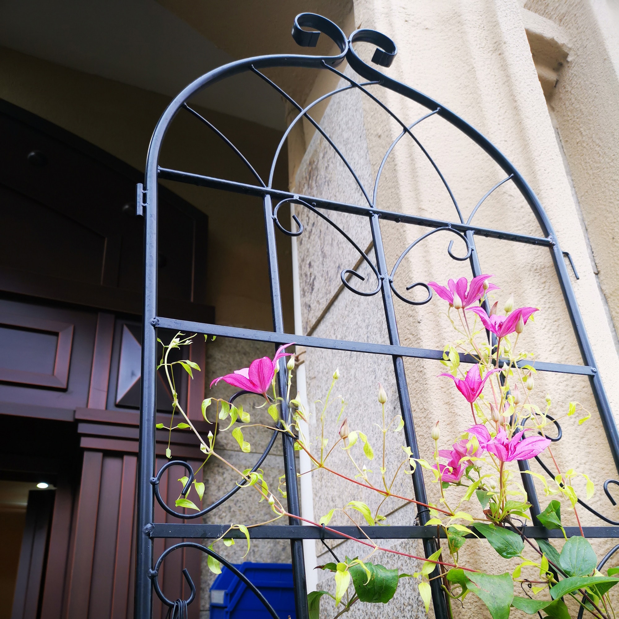 Damerin ZLY-15F Garden-Trellis - View #6