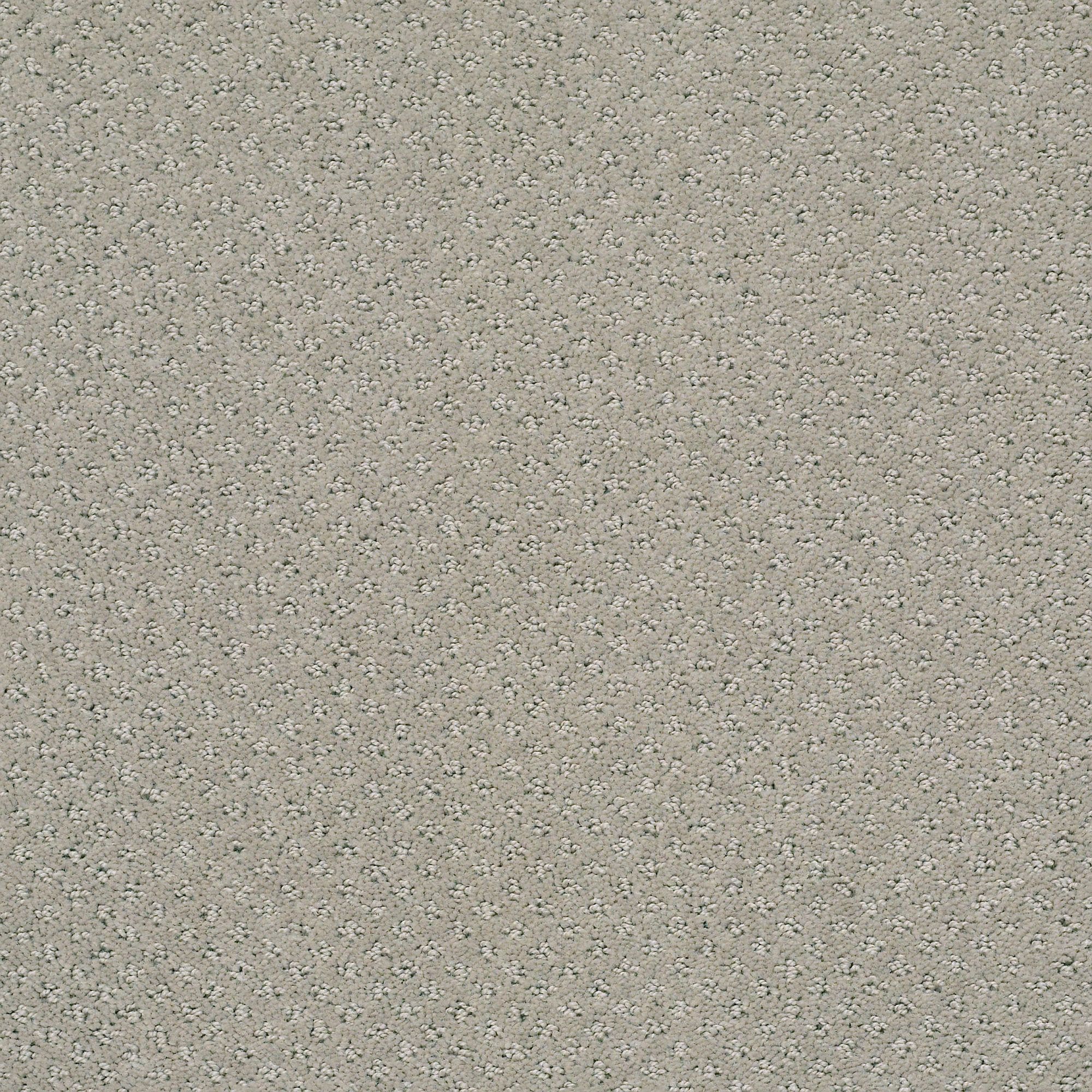 STAINMASTER 7L905 - 570 - SAMP (Sample) Crieve Hall Silhouette Gray 25-oz sq yard Nylon Pattern Indoor Carpet