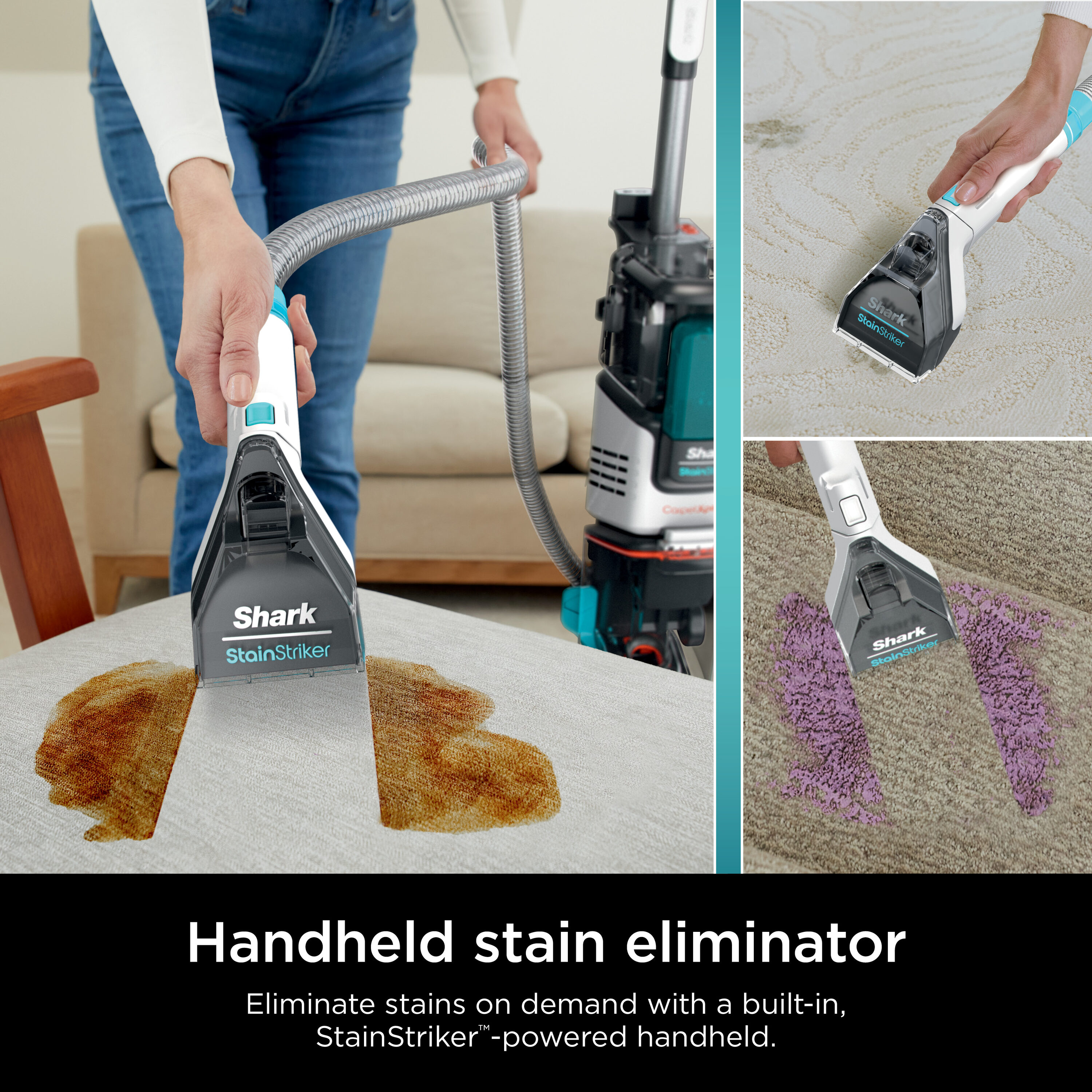 Shark® CarpetXpert™ with Stainstriker™ Carpet Cleaner Ultimate True Pet  Package