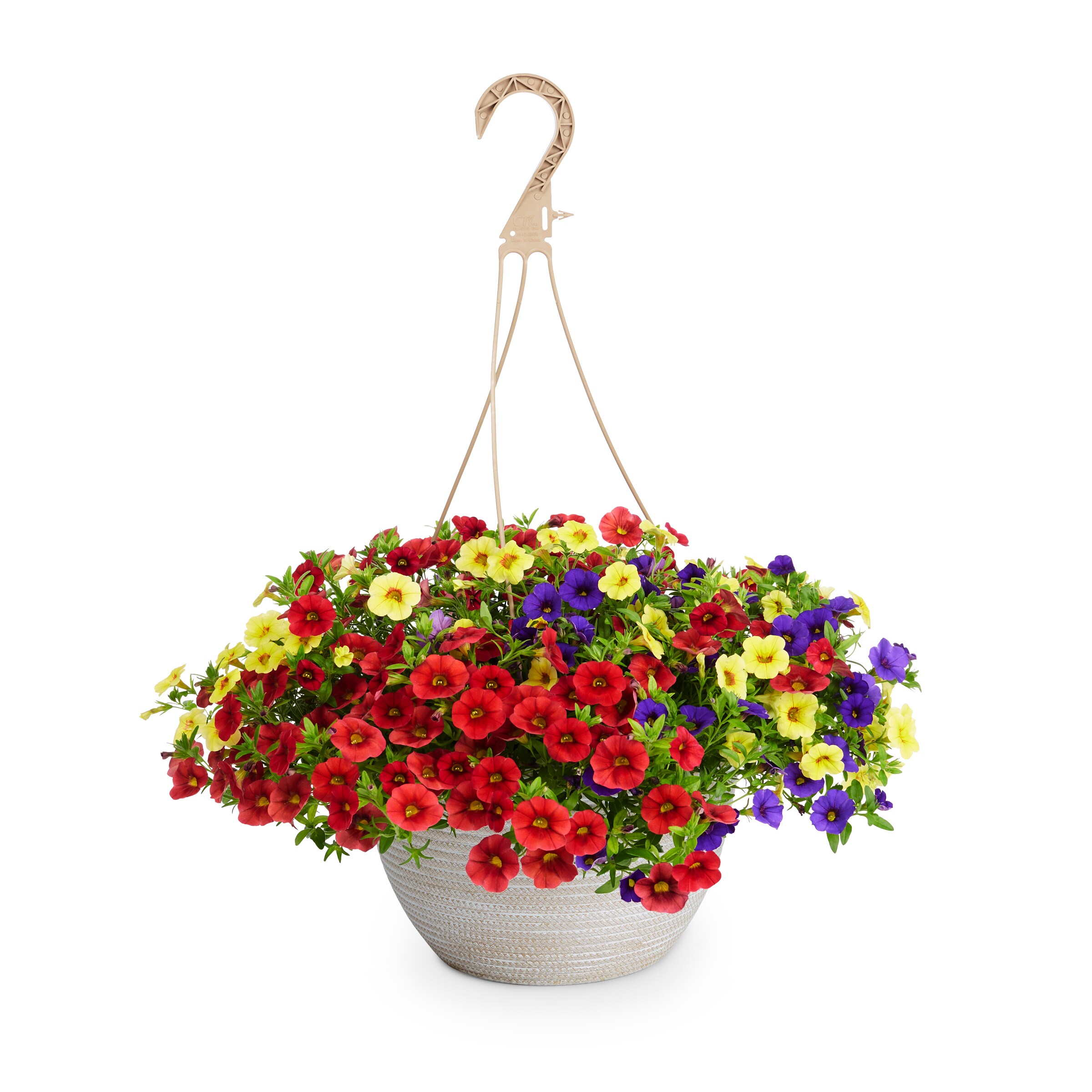 Lowe S Multicolor Mixed Annuals In 2 Gallons Hanging Basket In The   12502954 