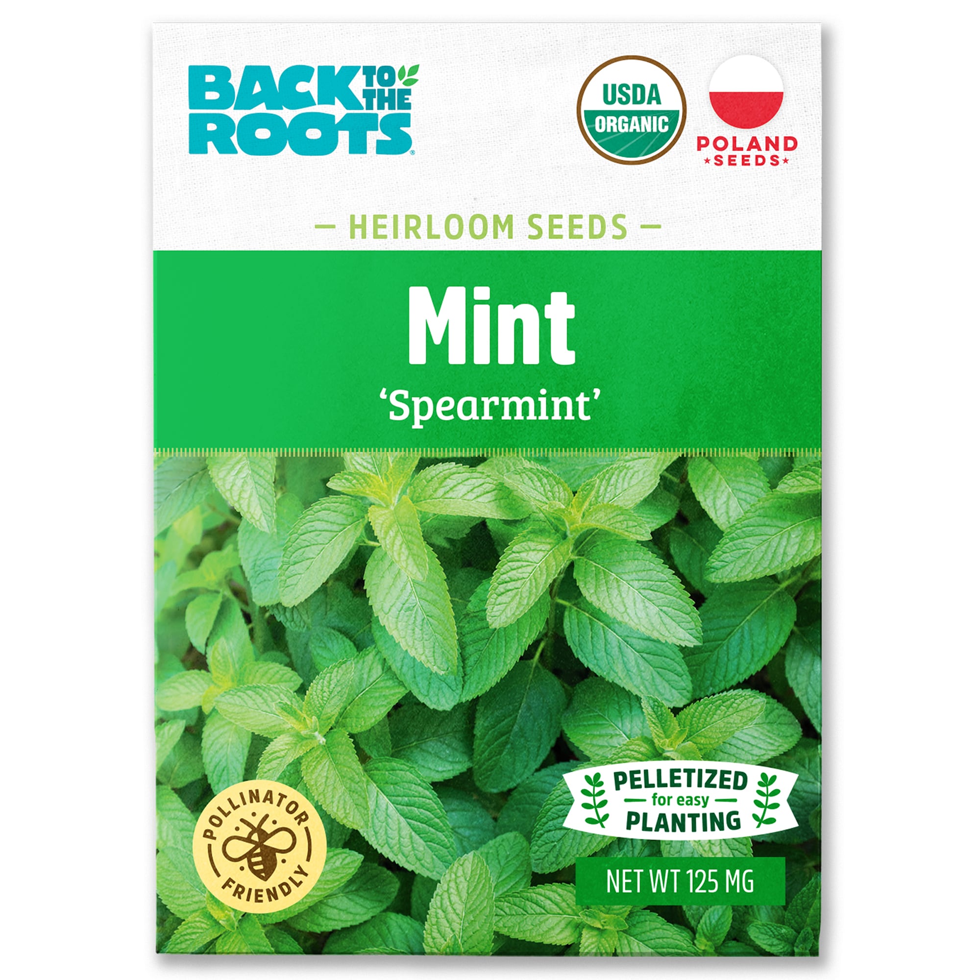 Organic Spearmint Seeds 1 Pack(s)
