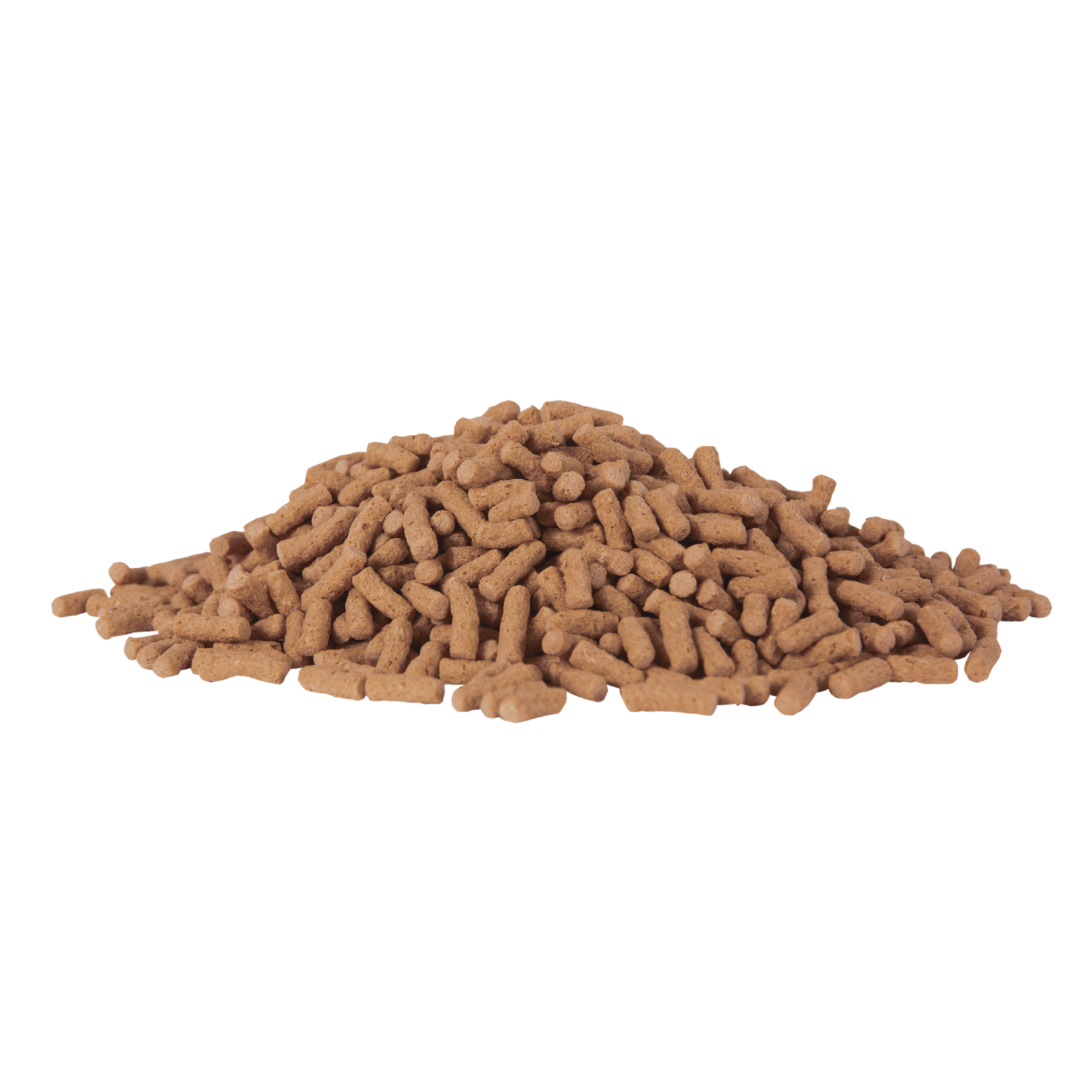 Tetra Brown Pond Fish Food Sticks in the Pond Accessories department at