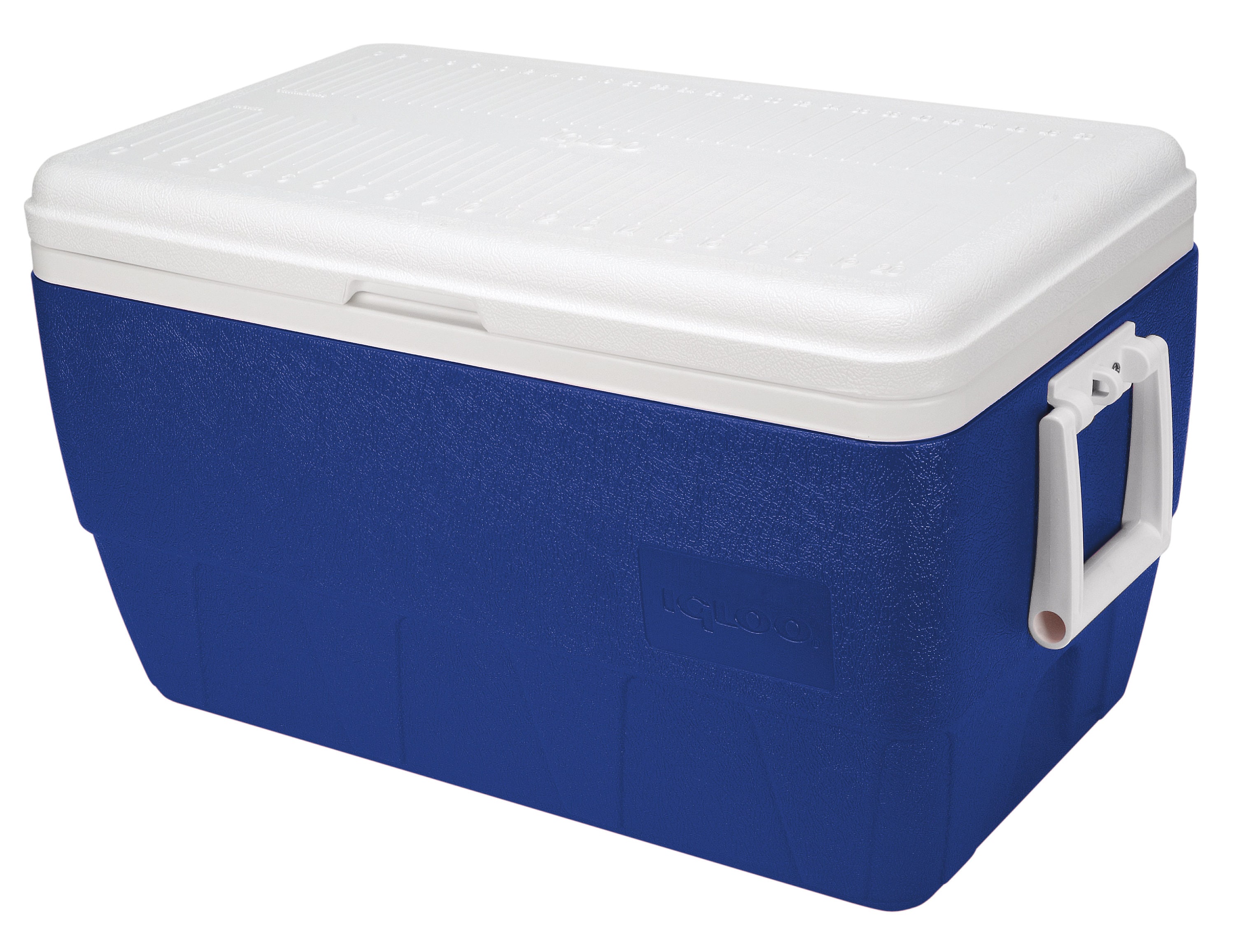 Igloo Blue White 52-Quart Insulated Chest Cooler at Lowes.com