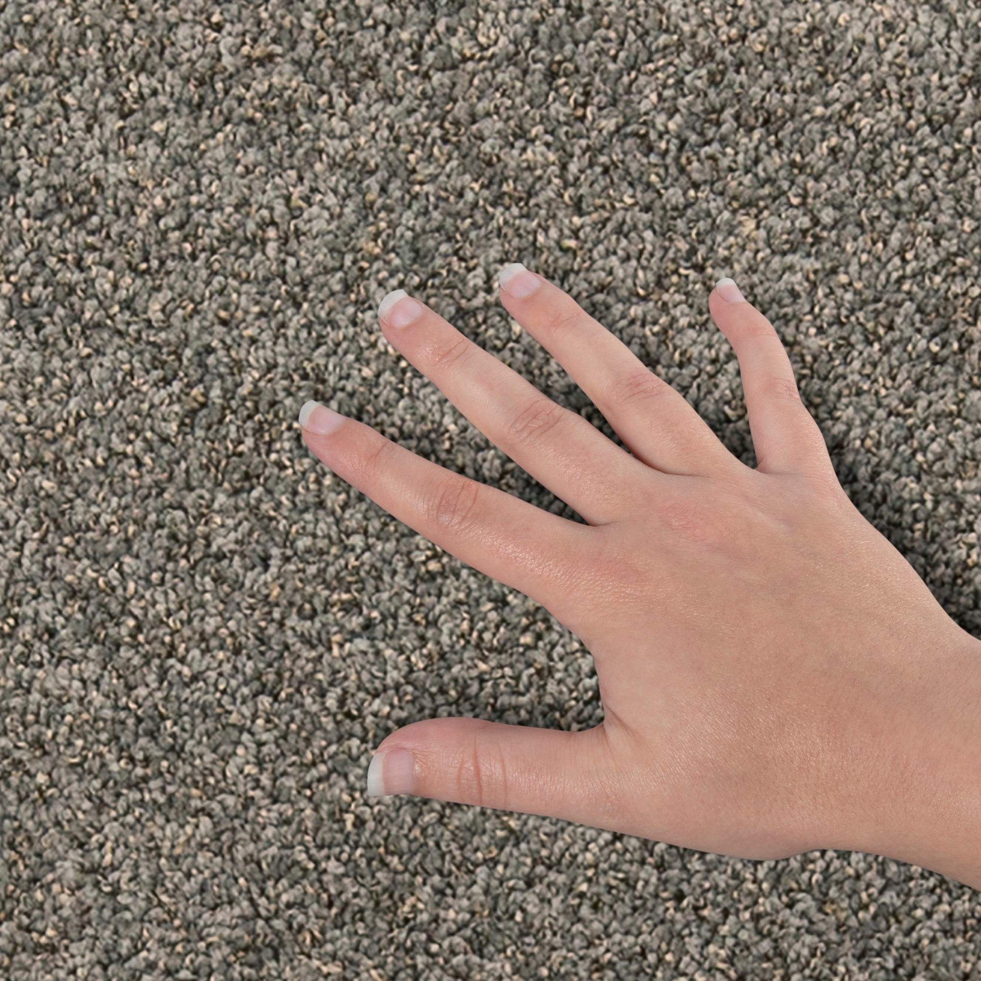 STAINMASTER PetProtect SS057-12-L012 Carpet-Panel - View #4