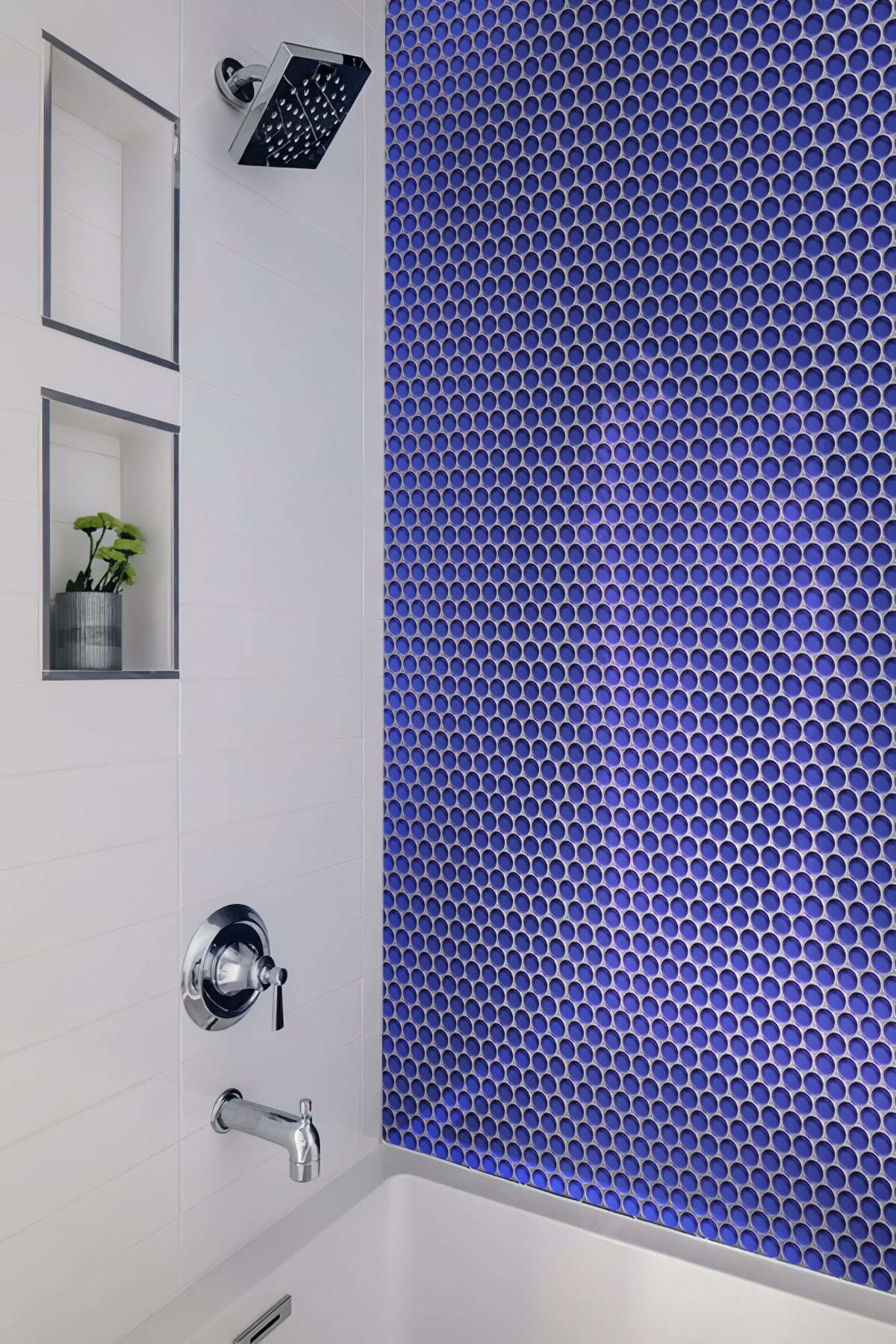 Apollo Tile APLPN88012ASAMPLE Tile-Samples - View #5