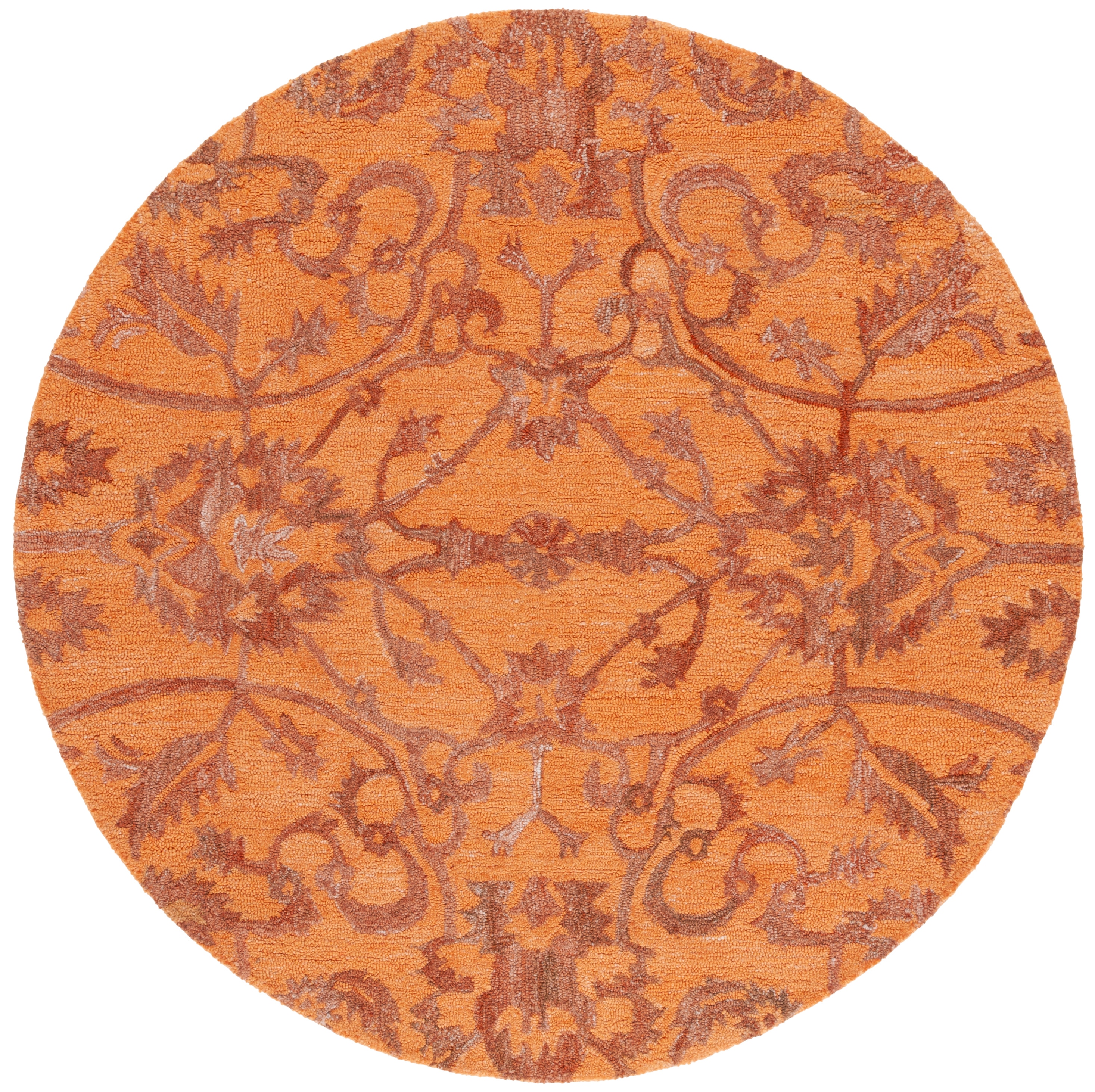 Safavieh AN401P-6R rugs - View #2