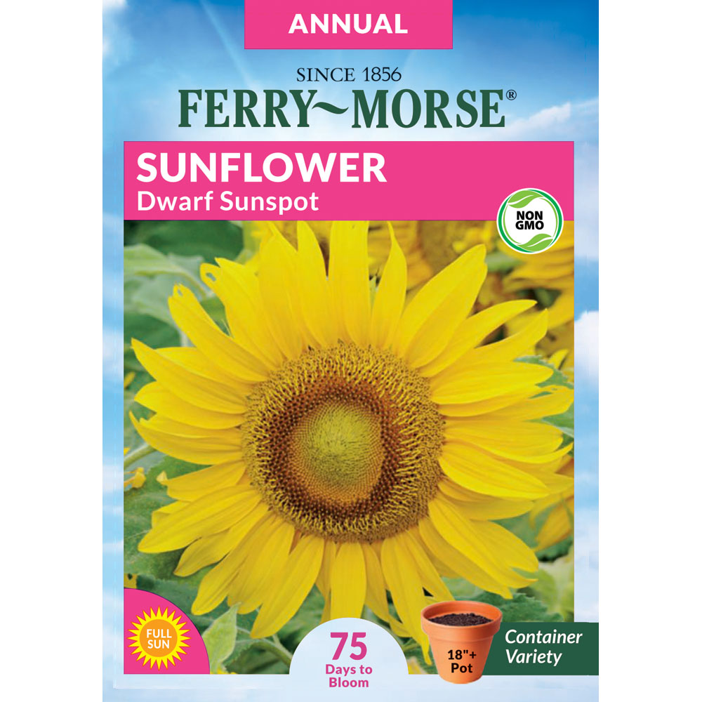 Yellow Flower Seeds at Lowes.com