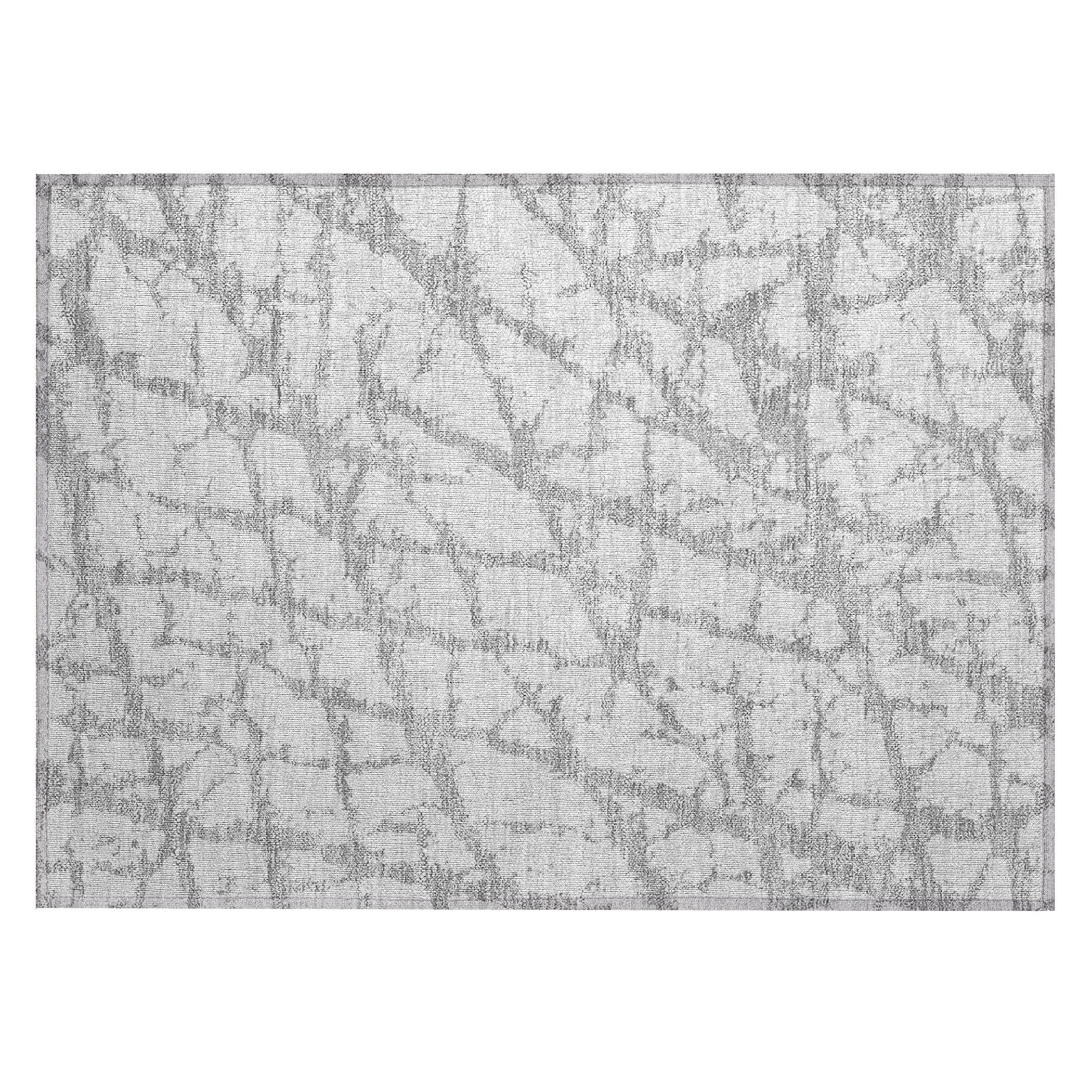 Addison Rugs ACN972SV20X30 rugs - View #2