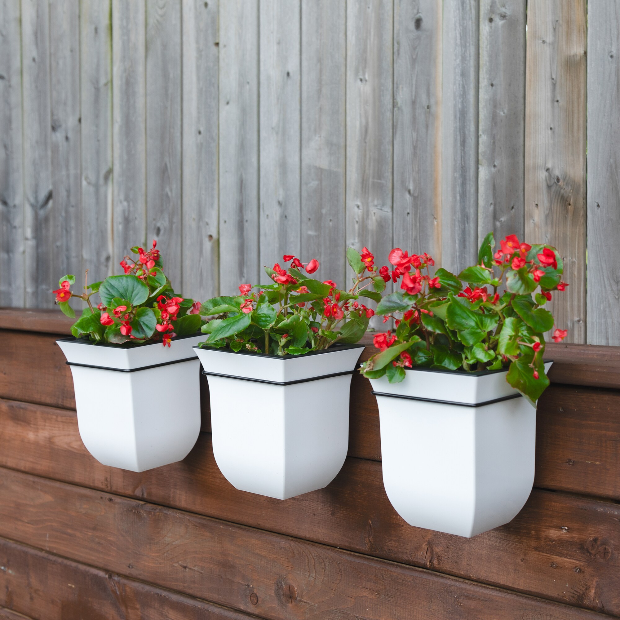 Mayne 3871-W Planter-Window-Box - View #3