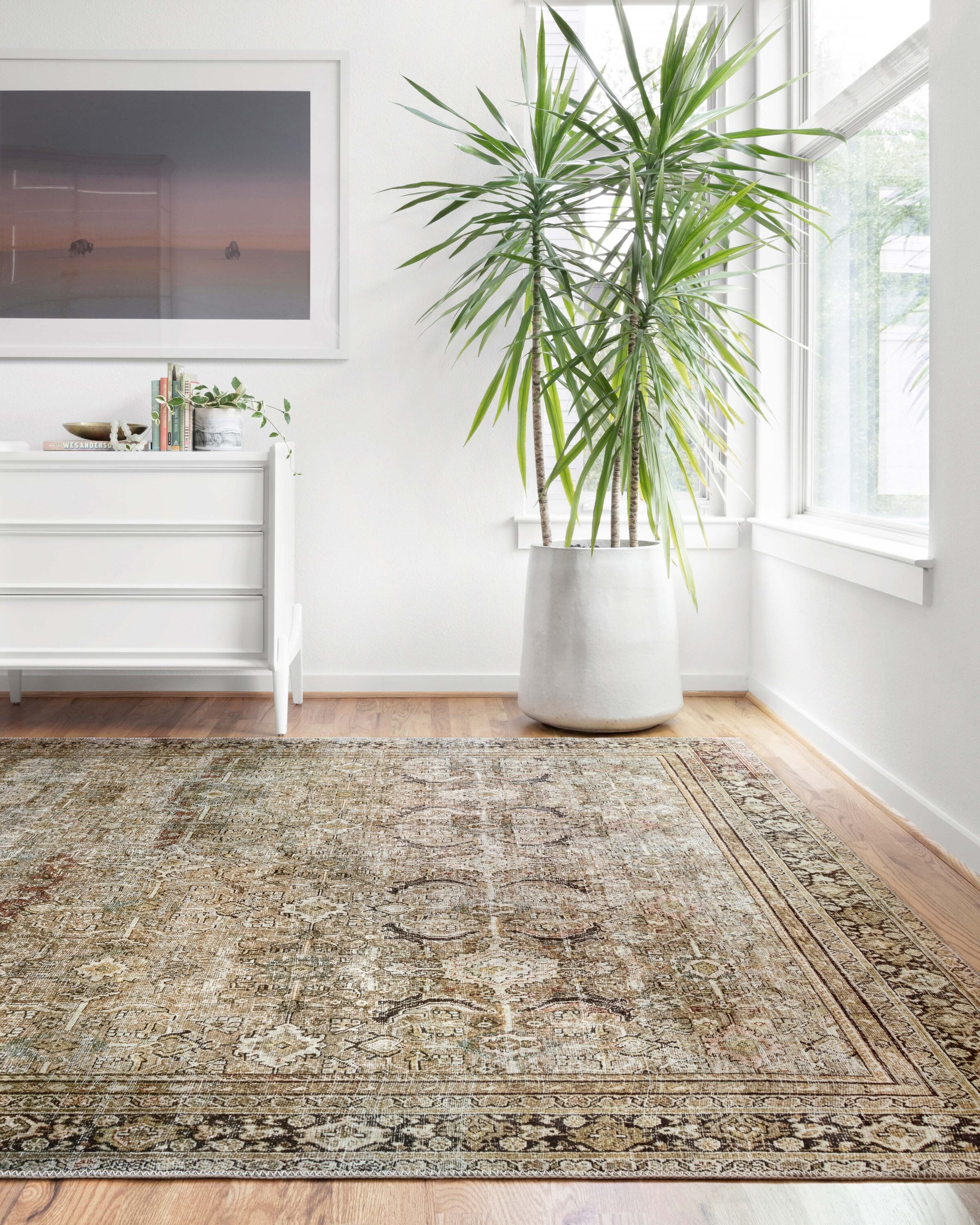 Loloi II LAYLLAY-03OLCC90C0 Layla 9 x 12 (ft) Loomed Polyester Olive / Charcoal Rectangular Indoor Distressed/Overdyed Oriental Area rug