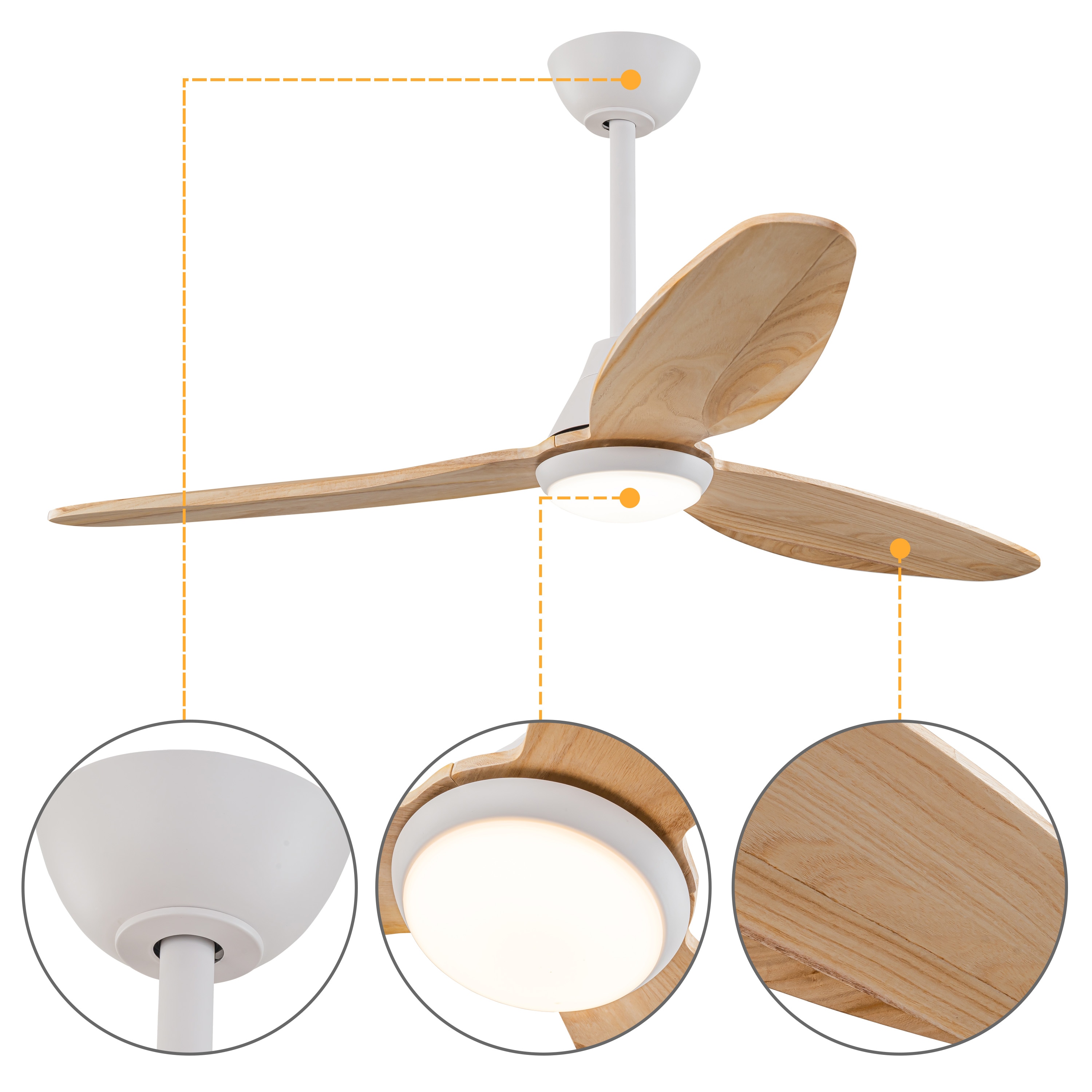 C Cattleya LCA2434-CF Ceiling-Fans - View #4