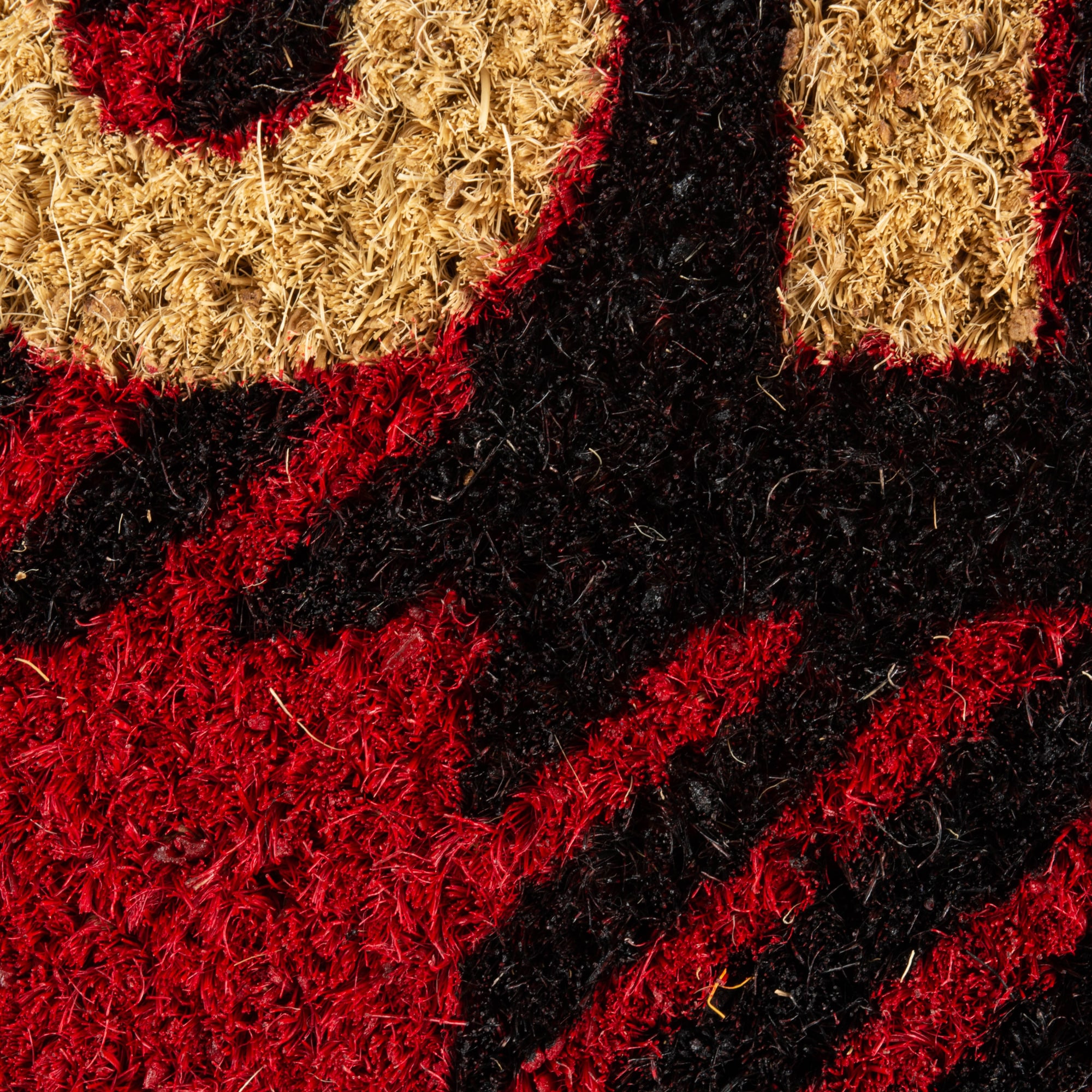 DII CAMZ11381 Mats-Cat - View #2