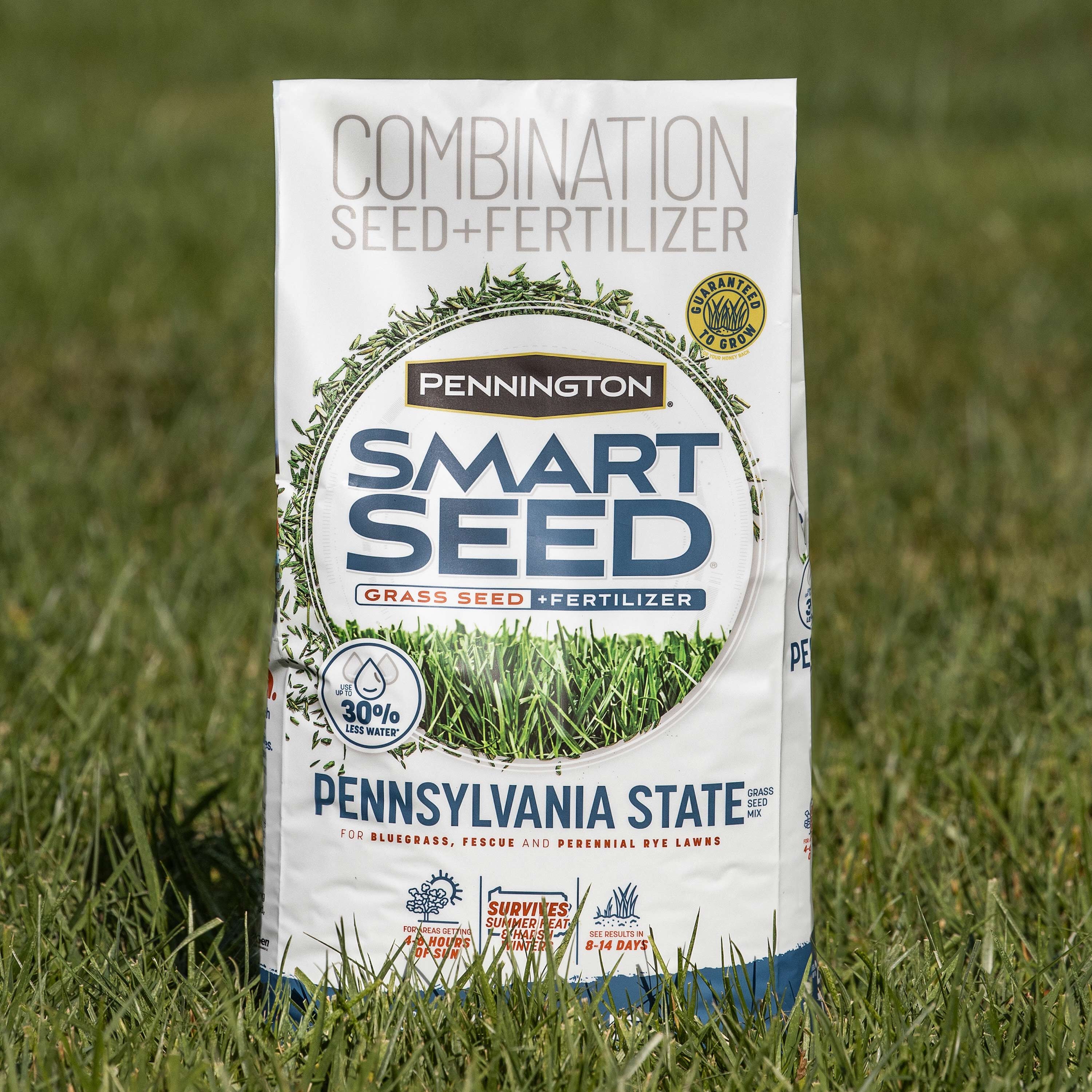 Pennington Smart Seed Penn State 3-lb Mixture/Blend Grass Seed In The ...