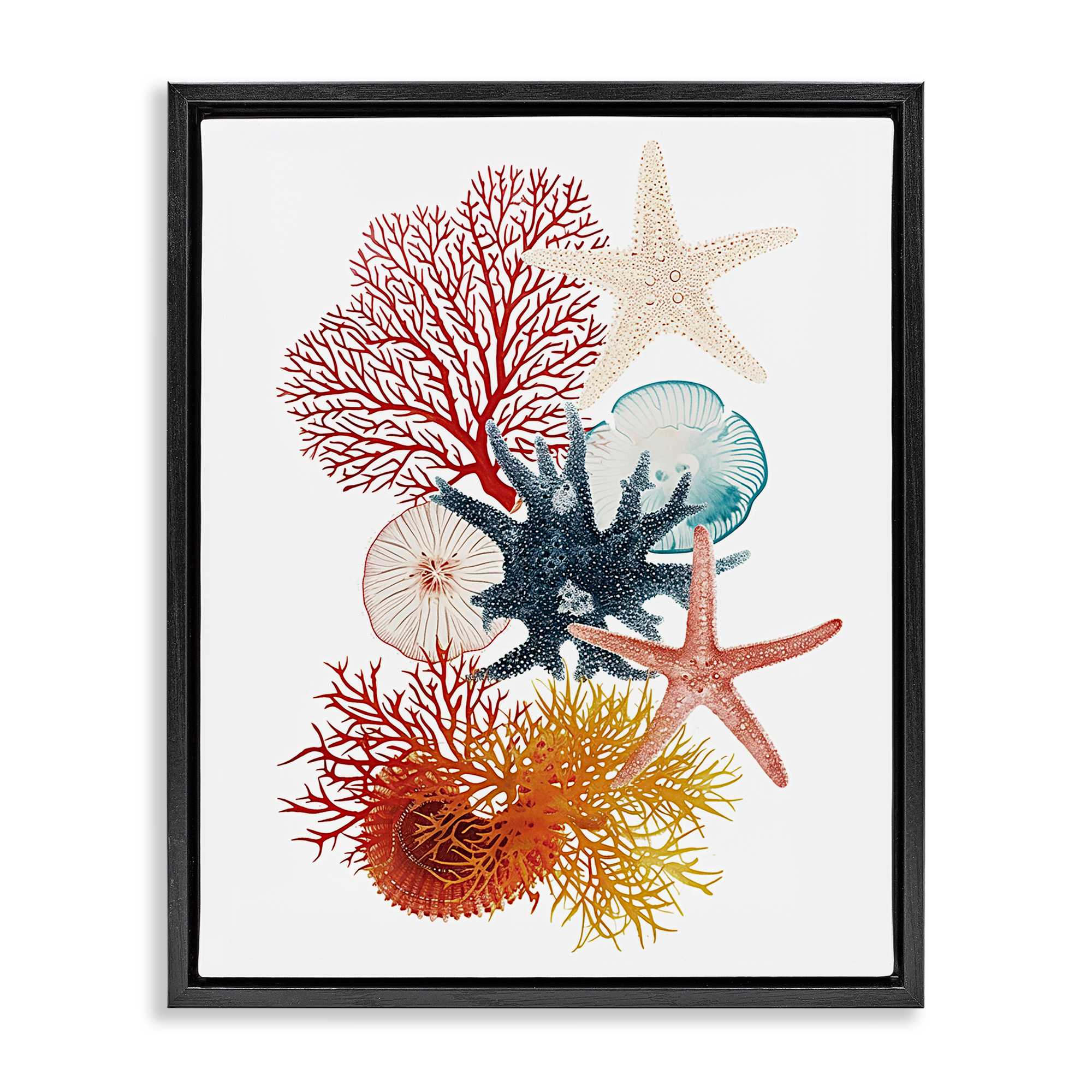 Stupell Industries BS-964-FFB-24X30 Coral and Undersea Creatures Black Framed Floater Canvas Wall Art By Ramona Murdock 25 x 31