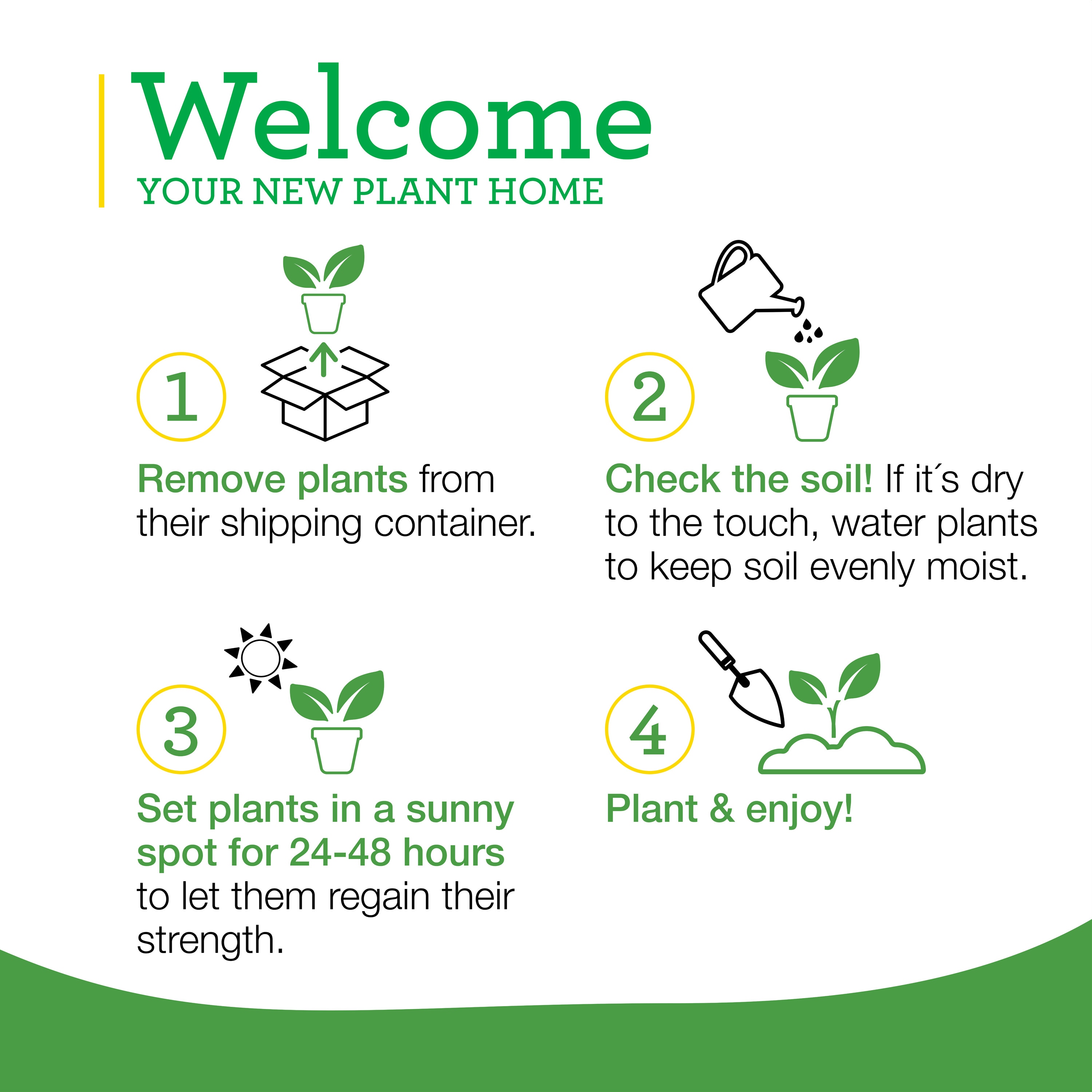 Bonnie Plants 119520 Vegetable-Plants - View #6