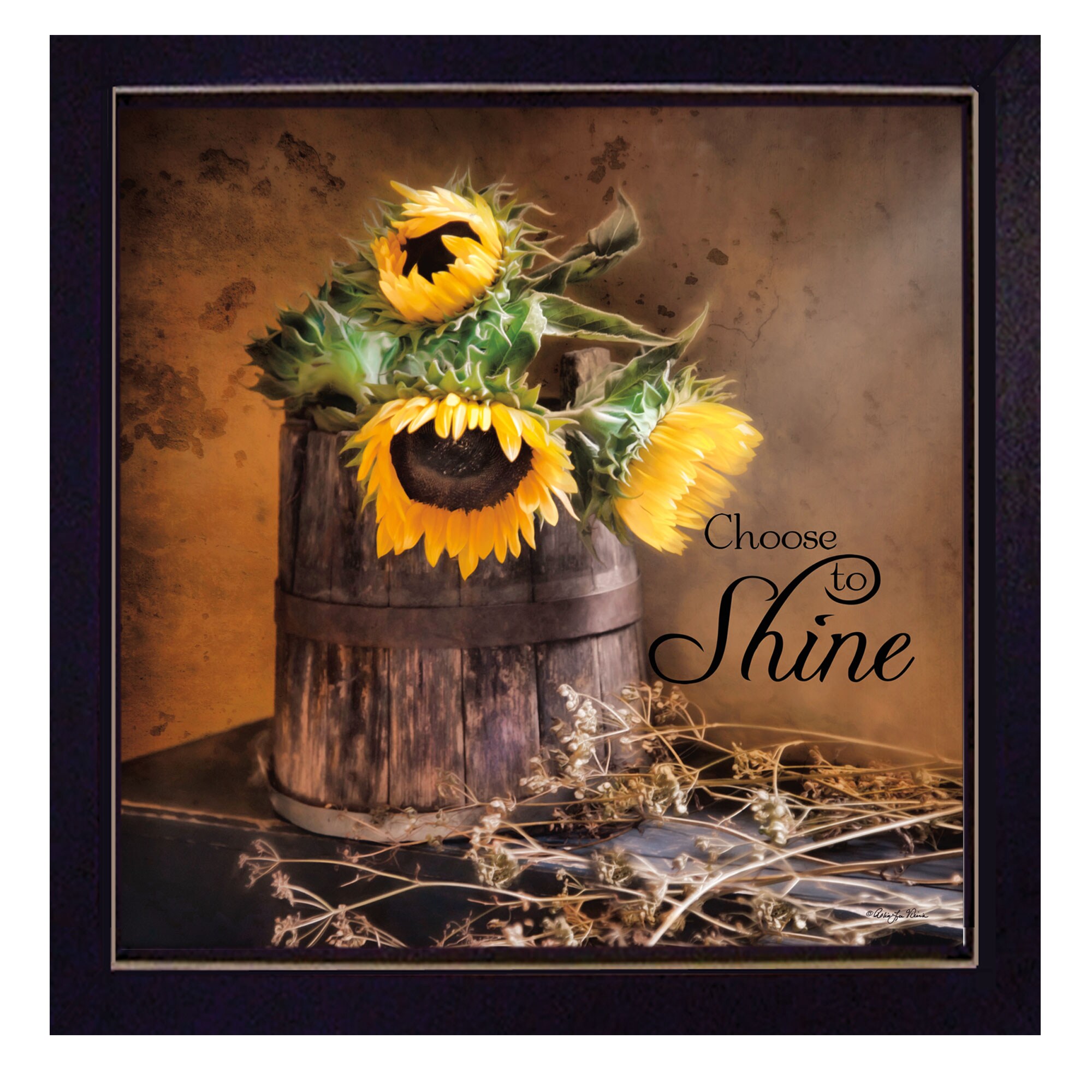 Trendy Decor 4U RLV530-712 Choose To Shine Robin-lee Vieira Black Wood Framed 14-in H x 14-in W Vintage/Retro Paper Print