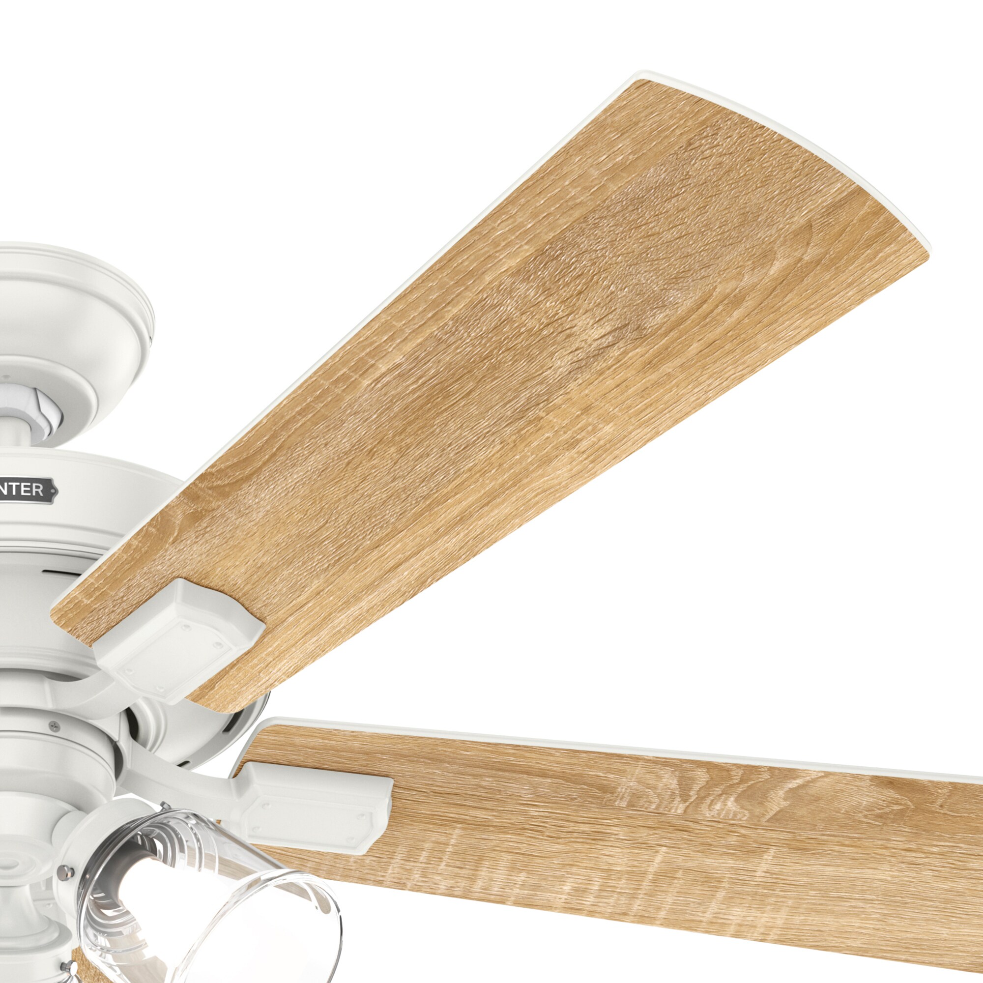 Hunter 51859 Ceiling-Fans - View #8
