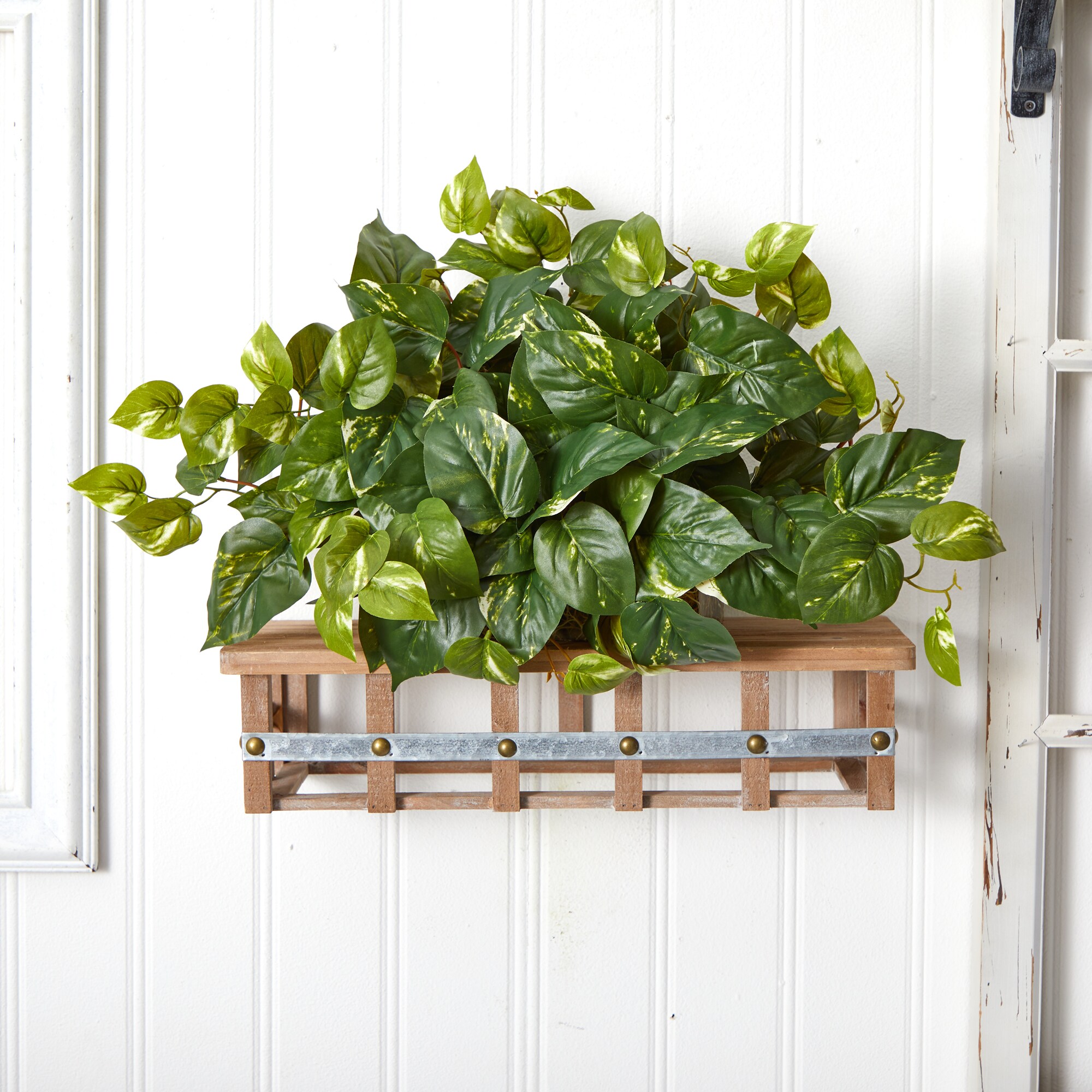 Elegant Pothos Silk Tabletop Plant in Compact Plastic