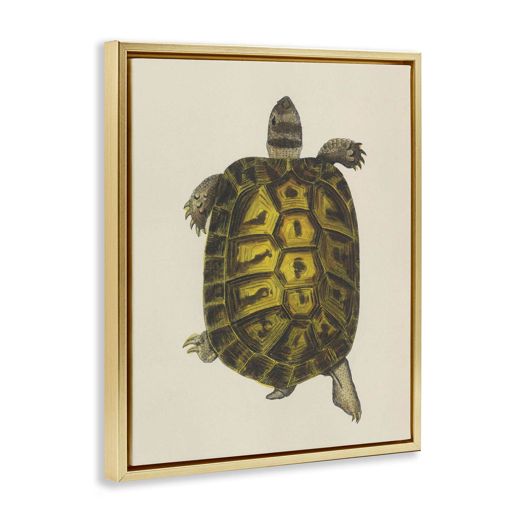 Stupell Industries BT-460-FFG-24X30 Wall-Art - View #2