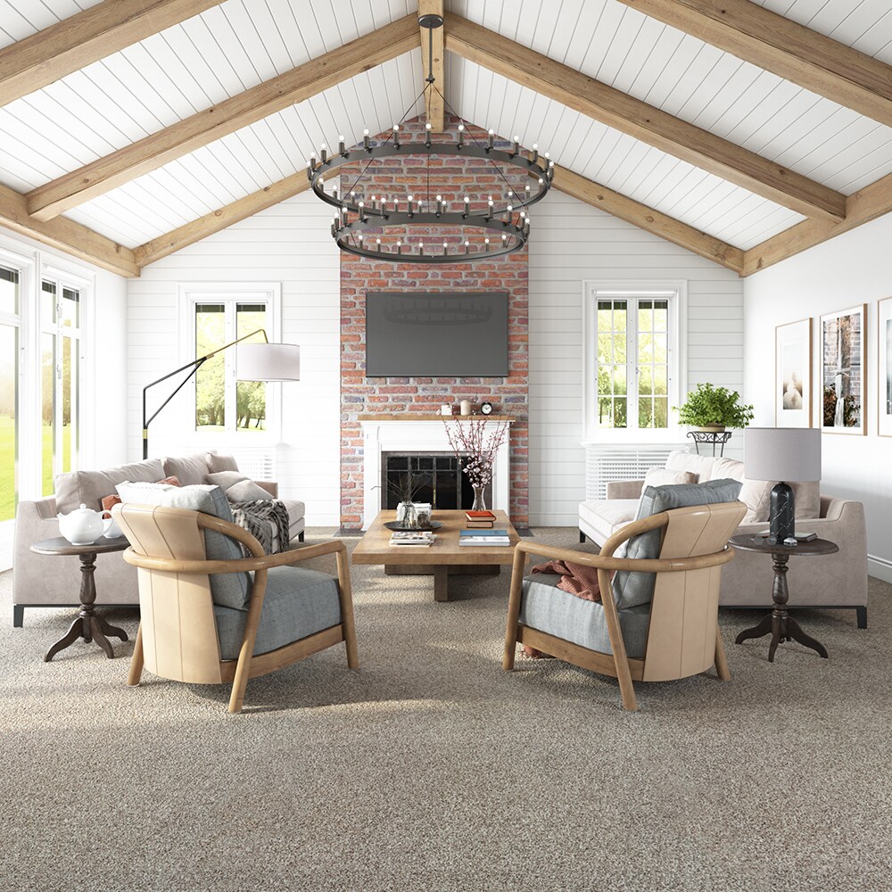 STAINMASTER SS003-L008-0808 Carpet-Samples - View #3