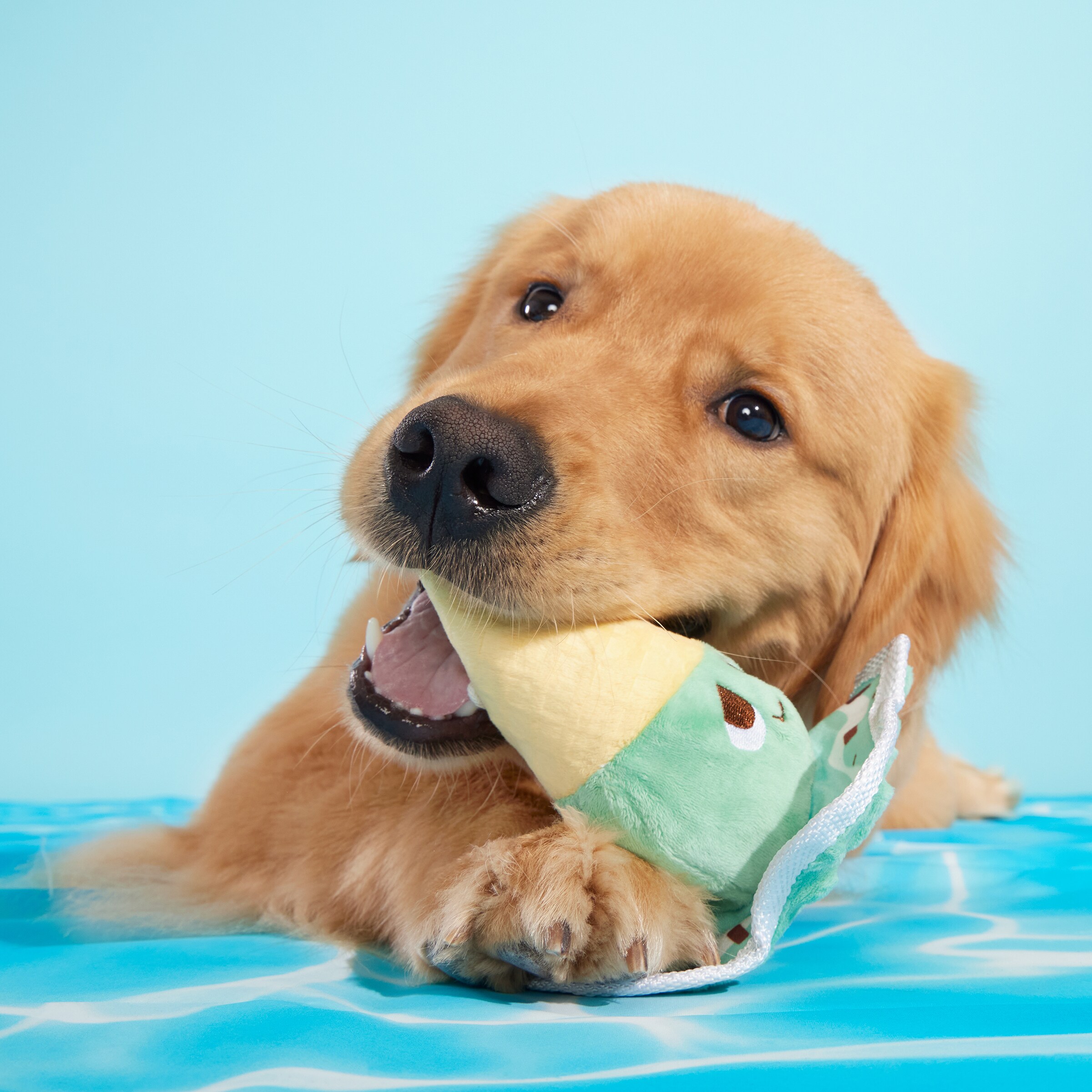BARK 215824 Dog-Toys - View #5